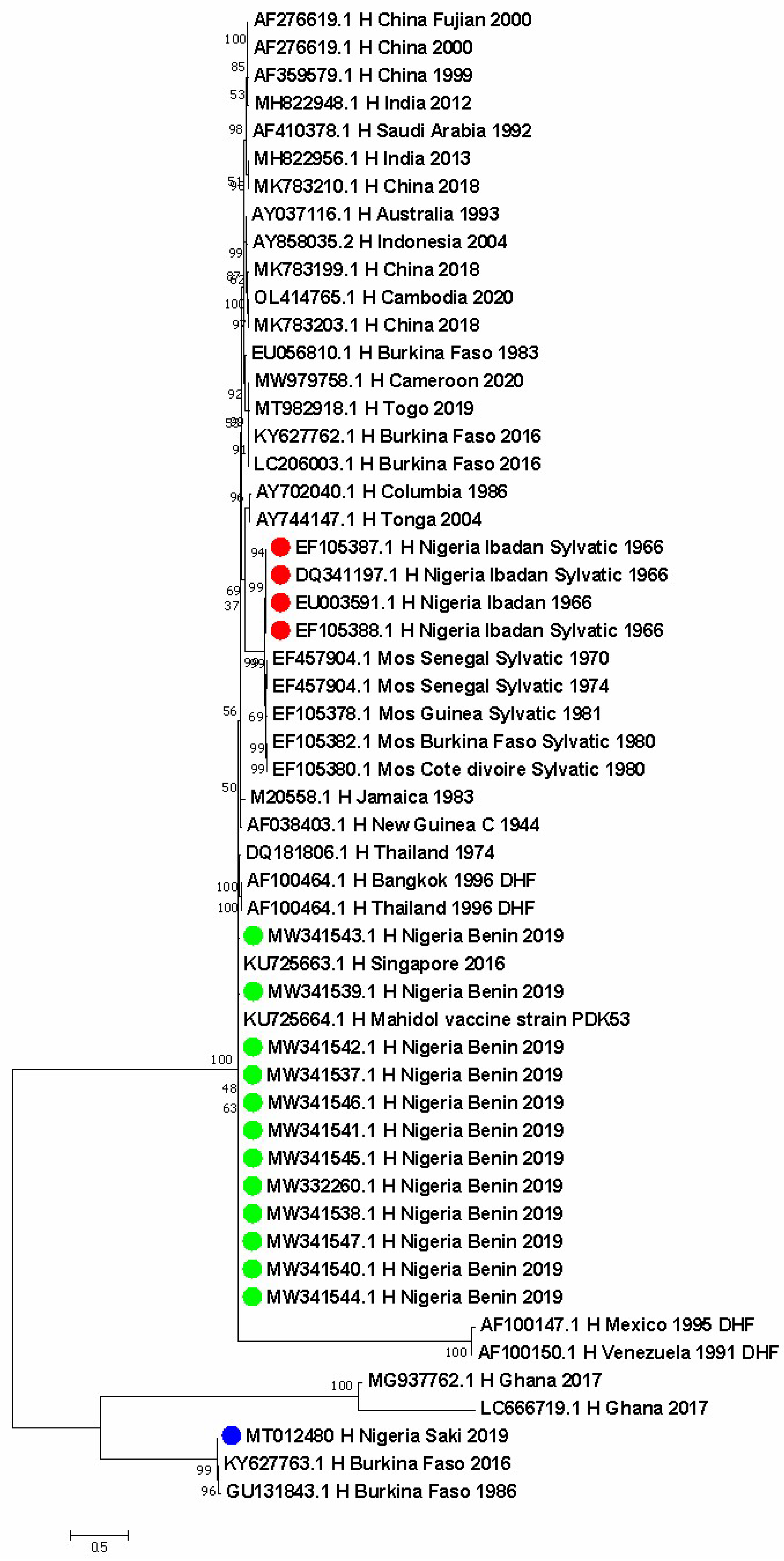 Vaccines 11 00547 g002 Vaccines 11 00547 g002