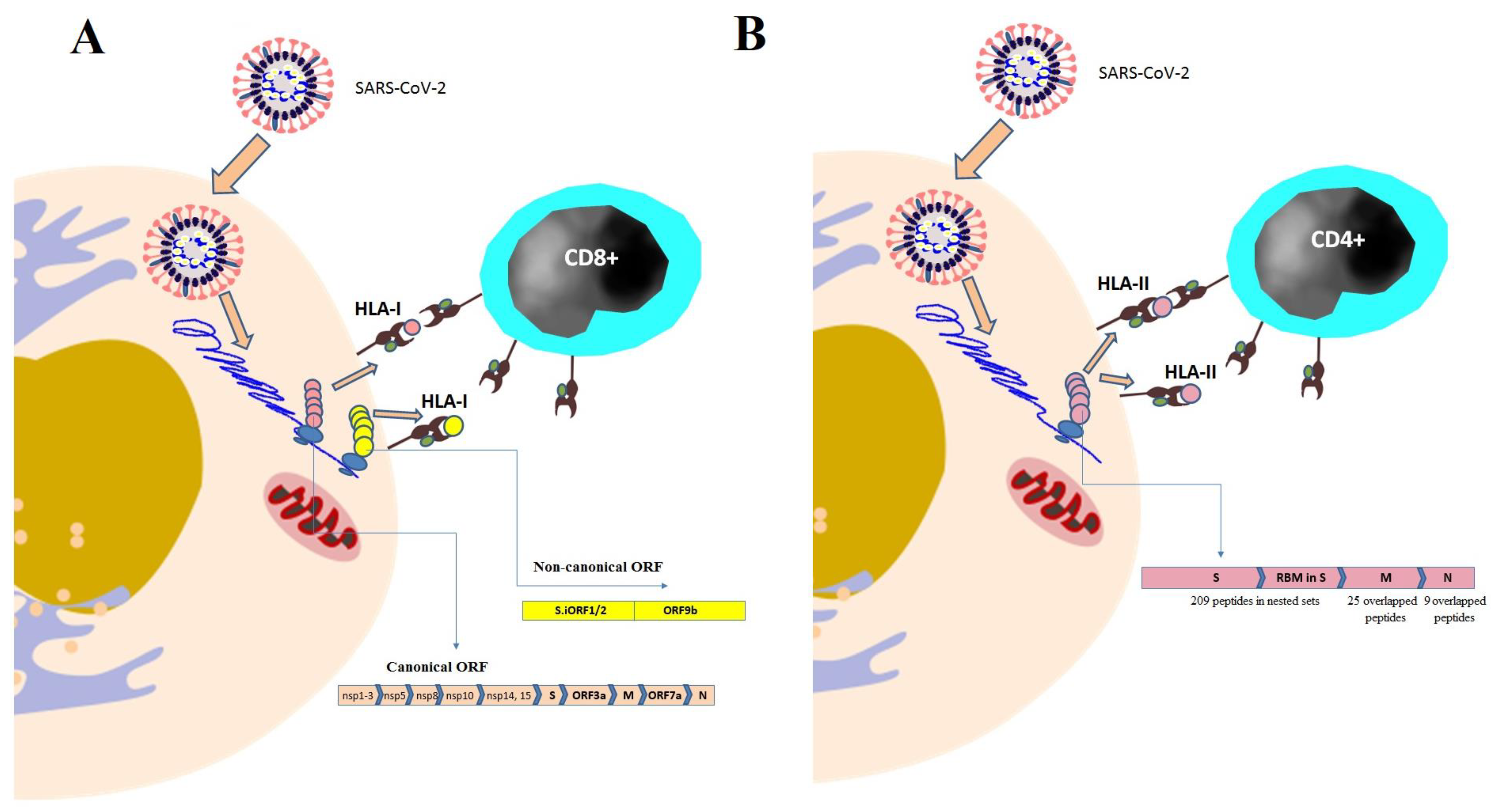 Vaccines 11 00548 g003 Vaccines 11 00548 g003