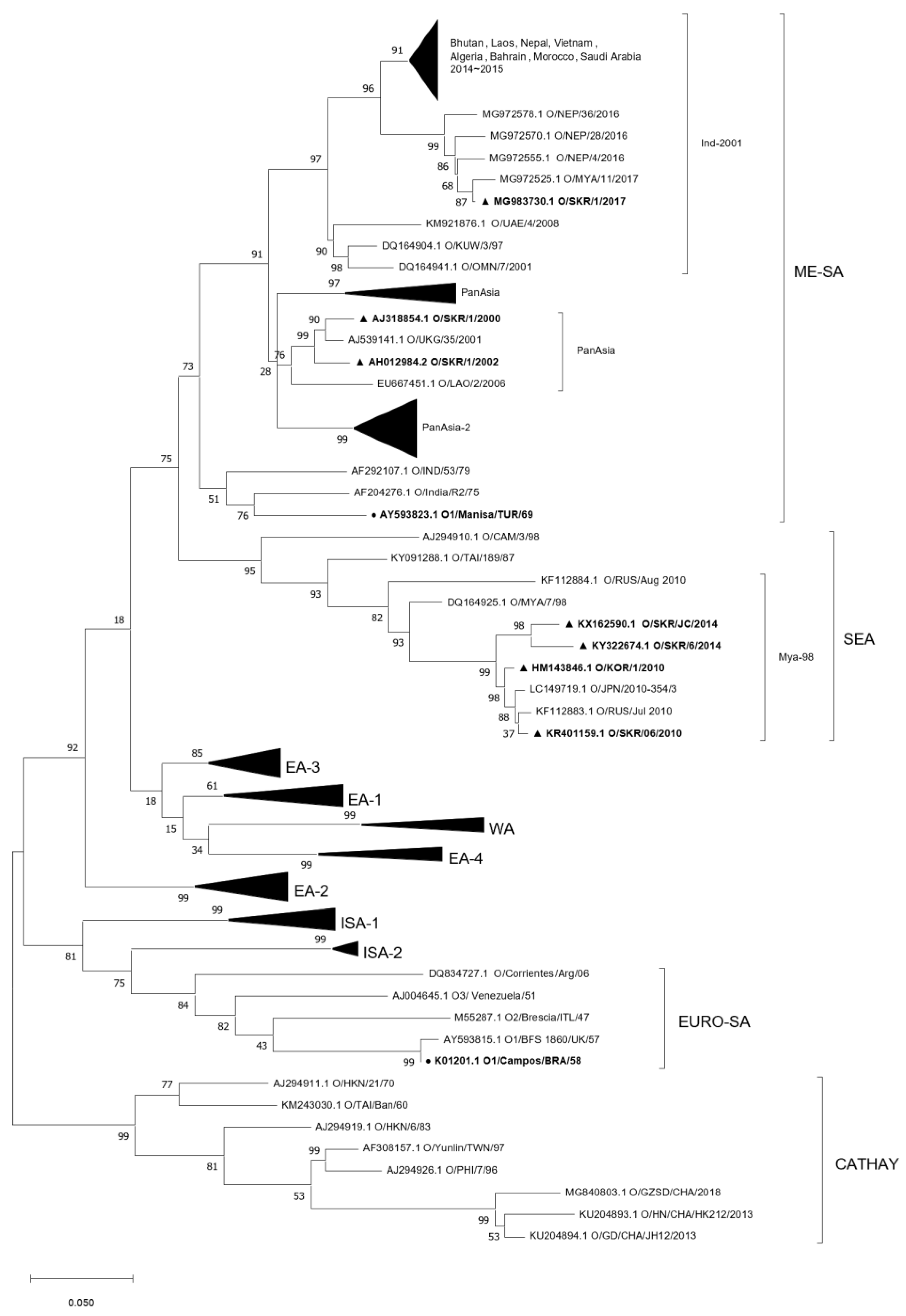 Vaccines 11 00551 g001