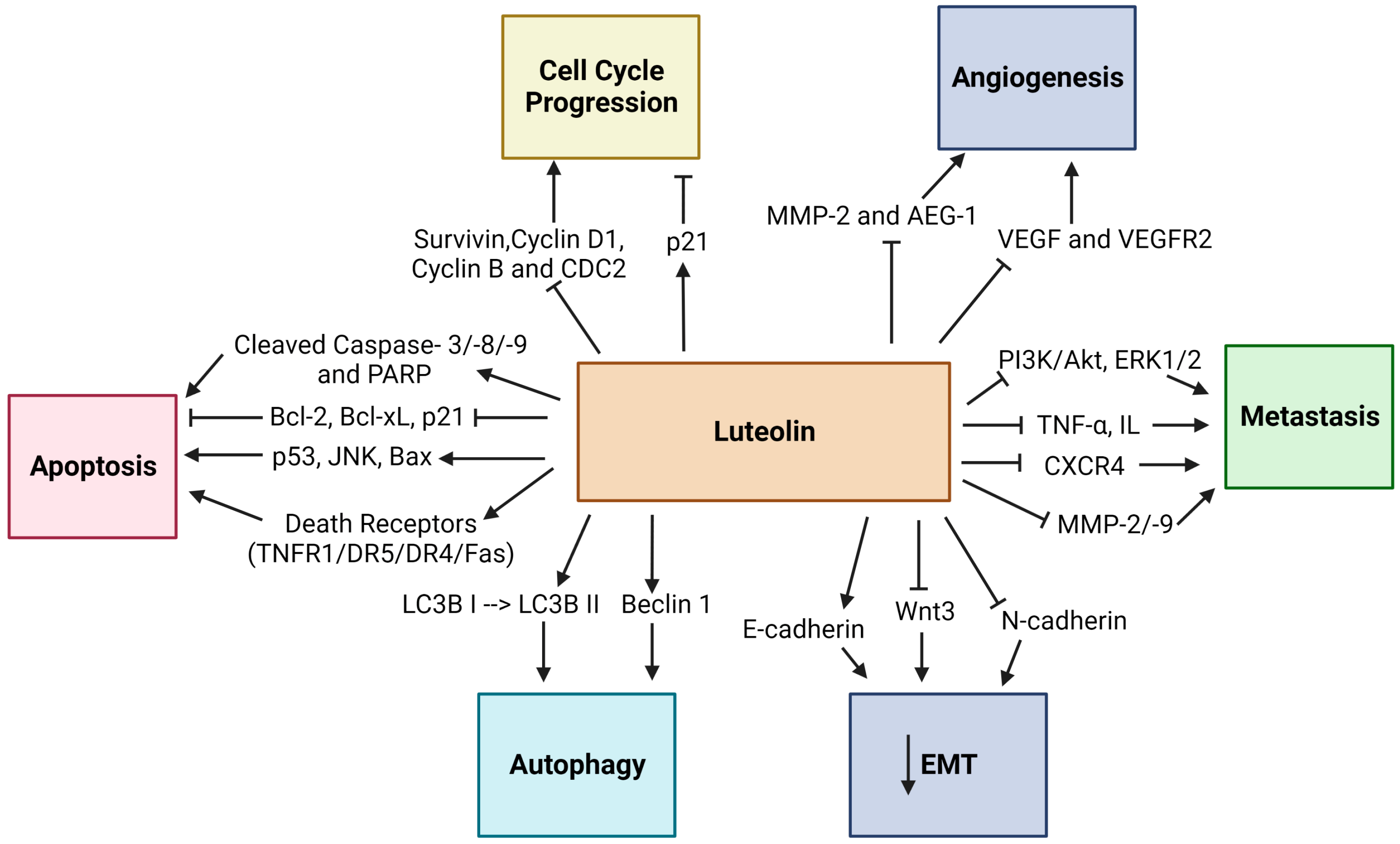Vaccines 11 00554 g002