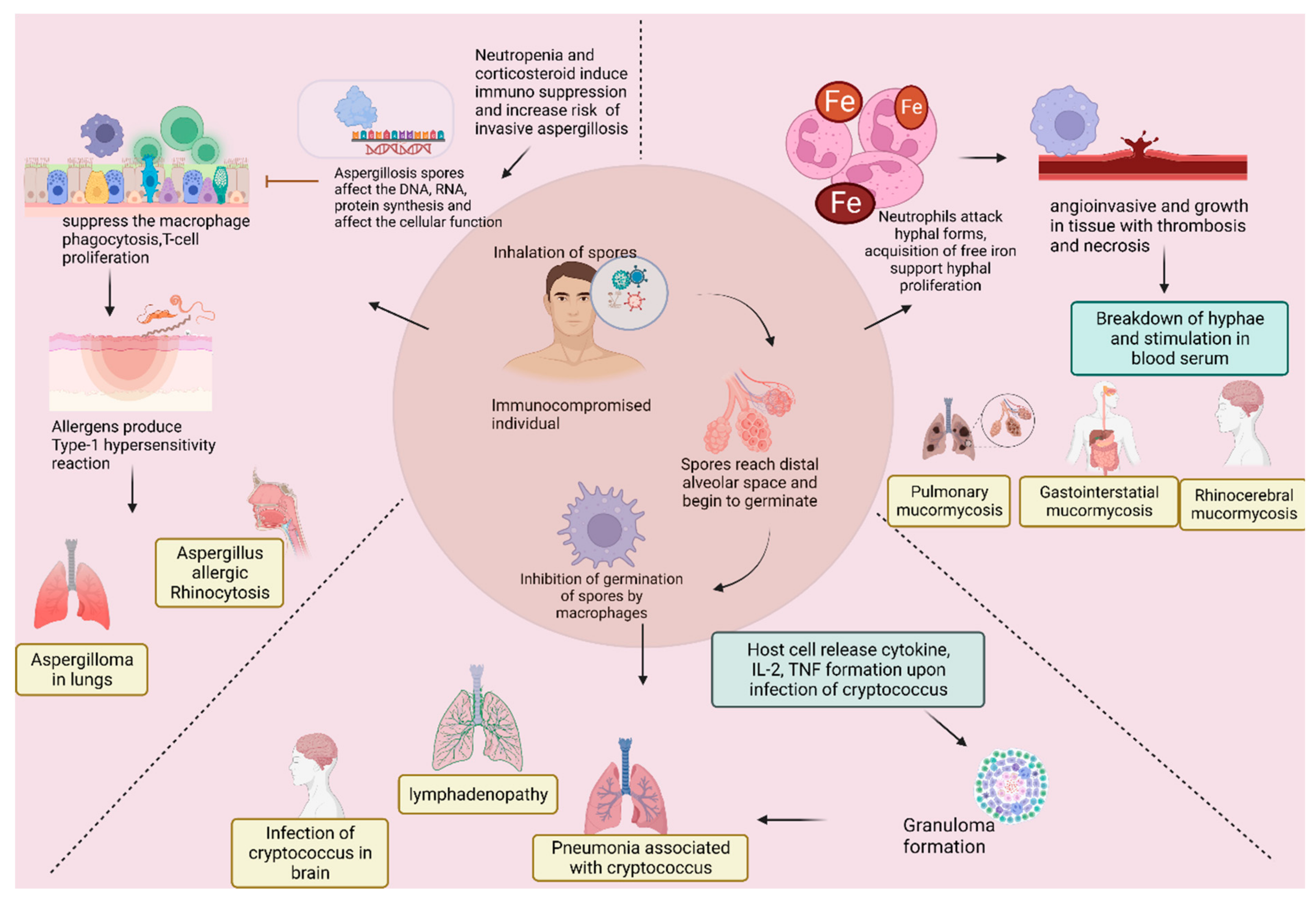 Vaccines 11 00555 g001