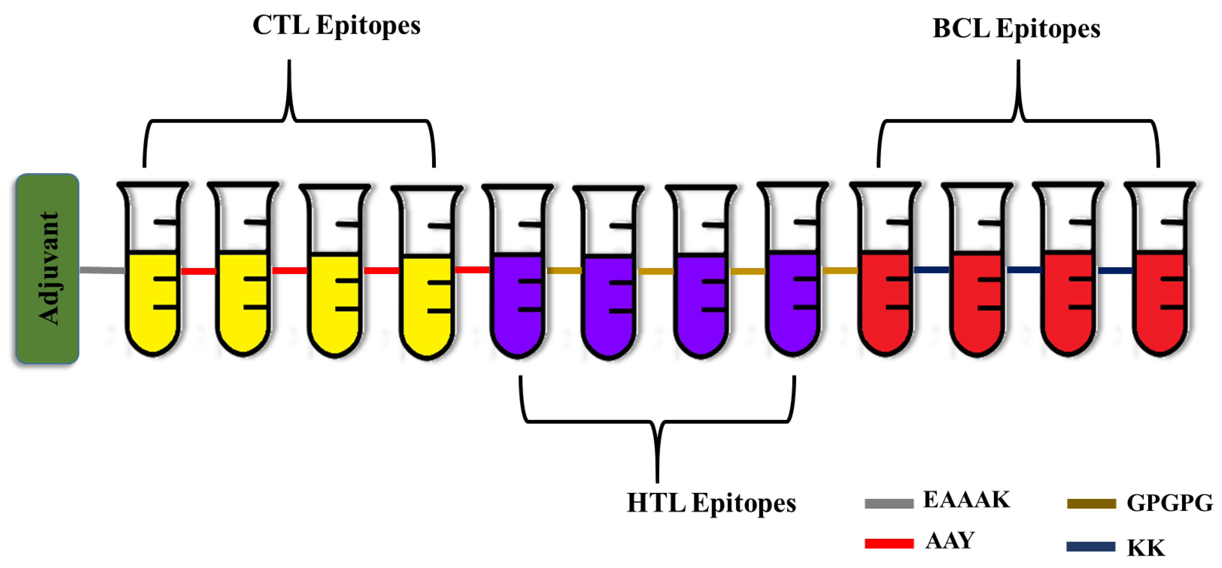 Vaccines 11 00577 g001