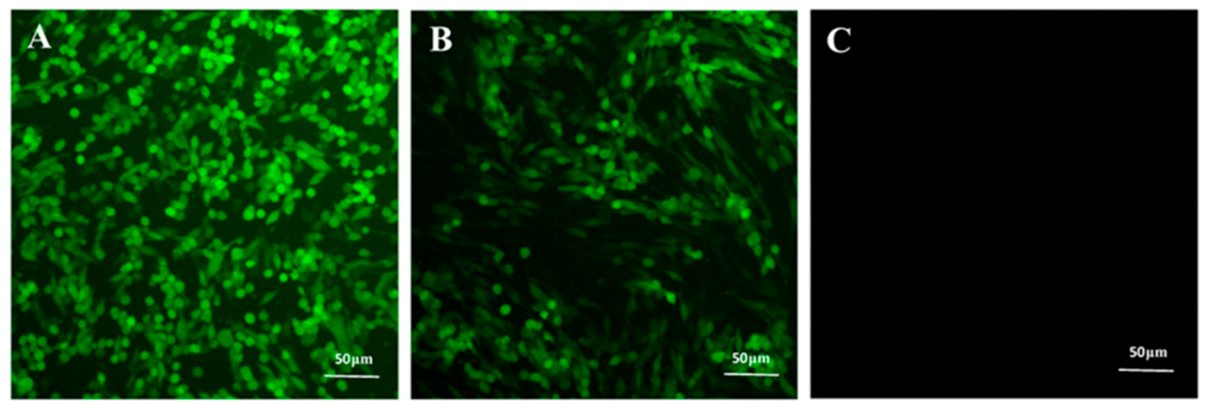 Vaccines 11 00579 g002 Vaccines 11 00579 g002