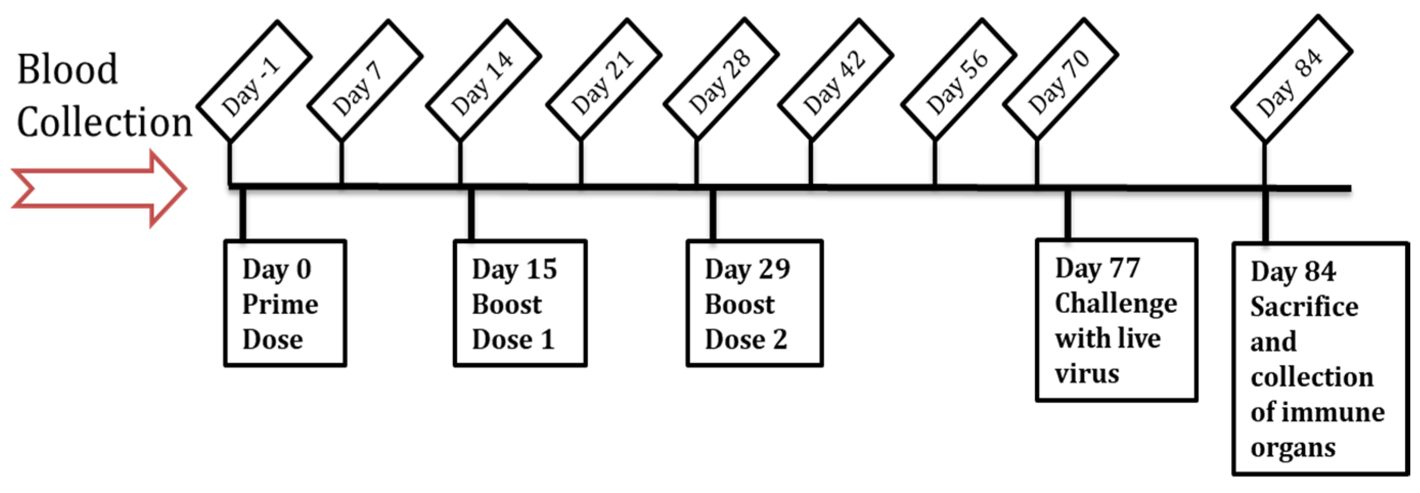 Vaccines 11 00583 g001