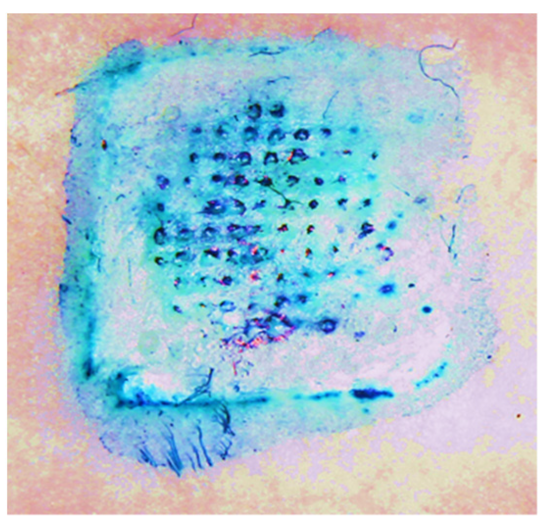 Vaccines 11 00583 g003