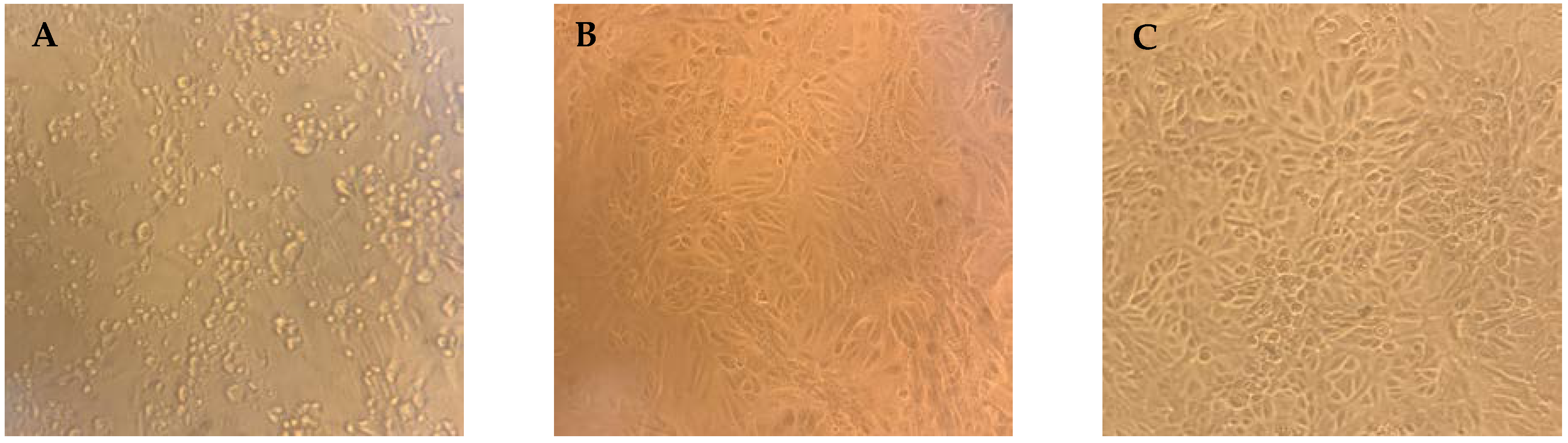Vaccines 11 00590 g002 550