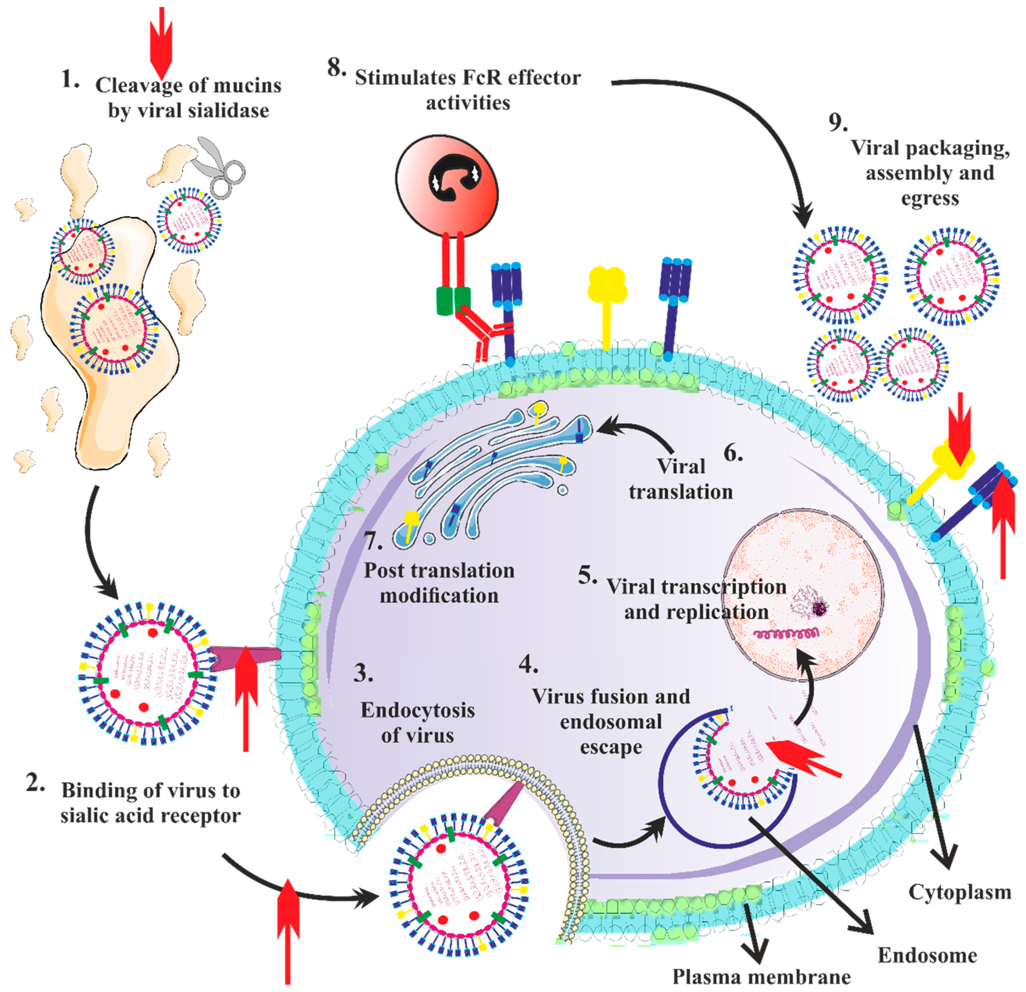 Vaccines 11 00593 g009 Vaccines 11 00593 g009
