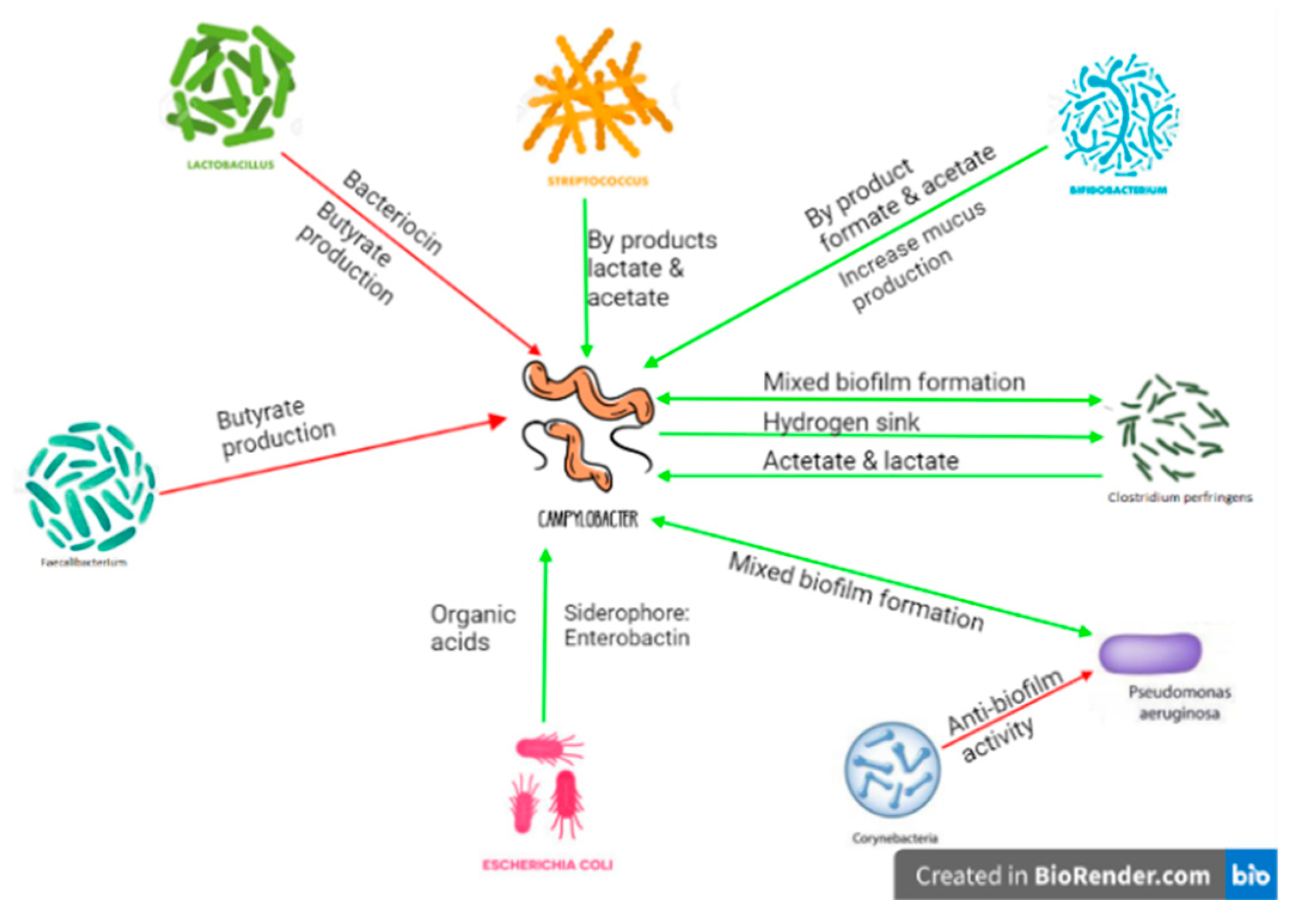 Vaccines 11 00595 g002 Vaccines 11 00595 g002