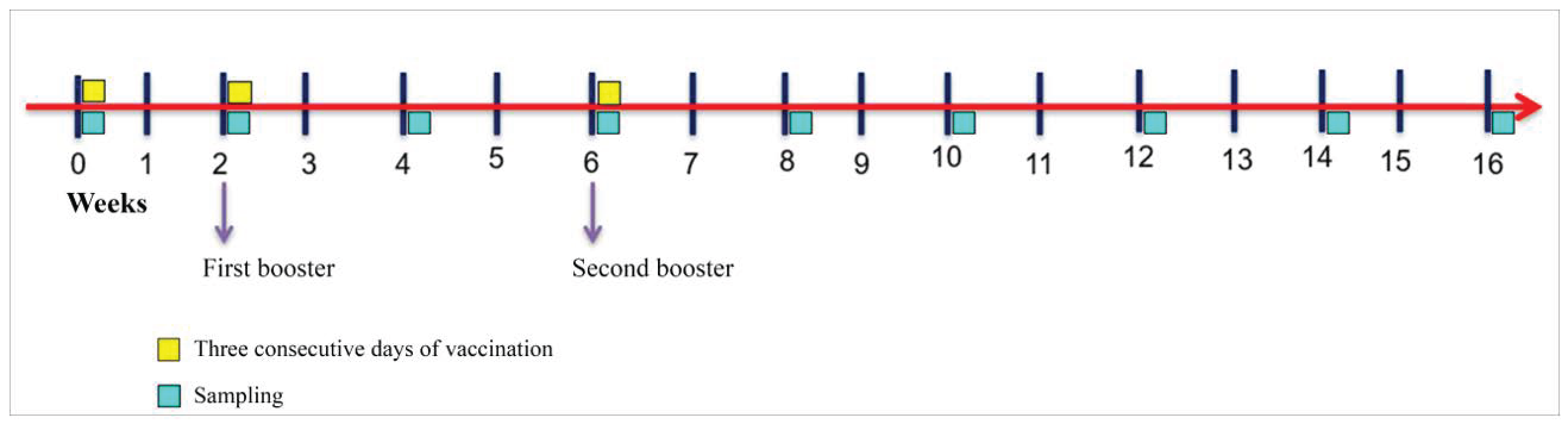 Vaccines 11 00602 g001