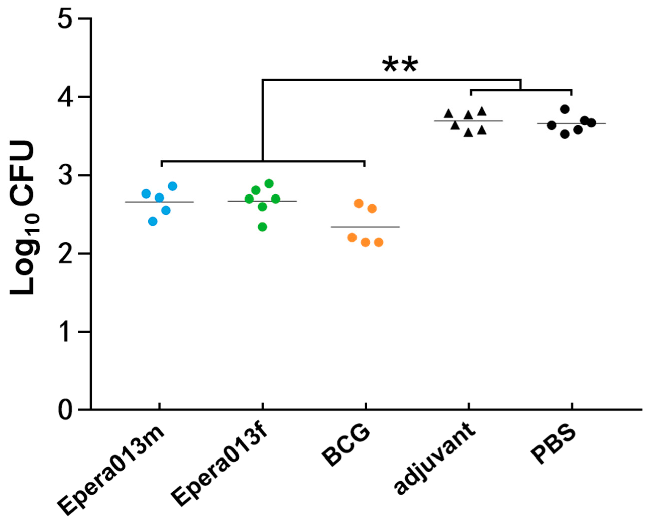 Vaccines 11 00609 g007
