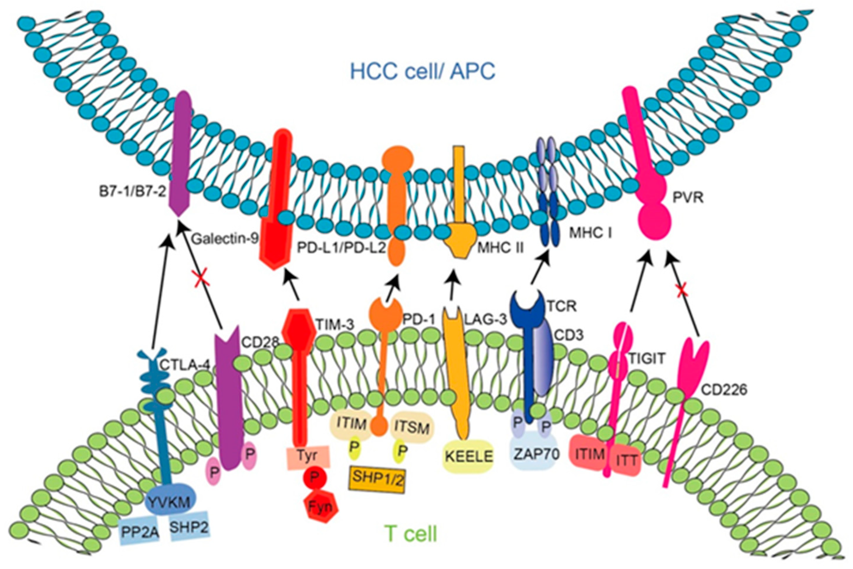 Vaccines 11 00614 g002 Vaccines 11 00614 g002