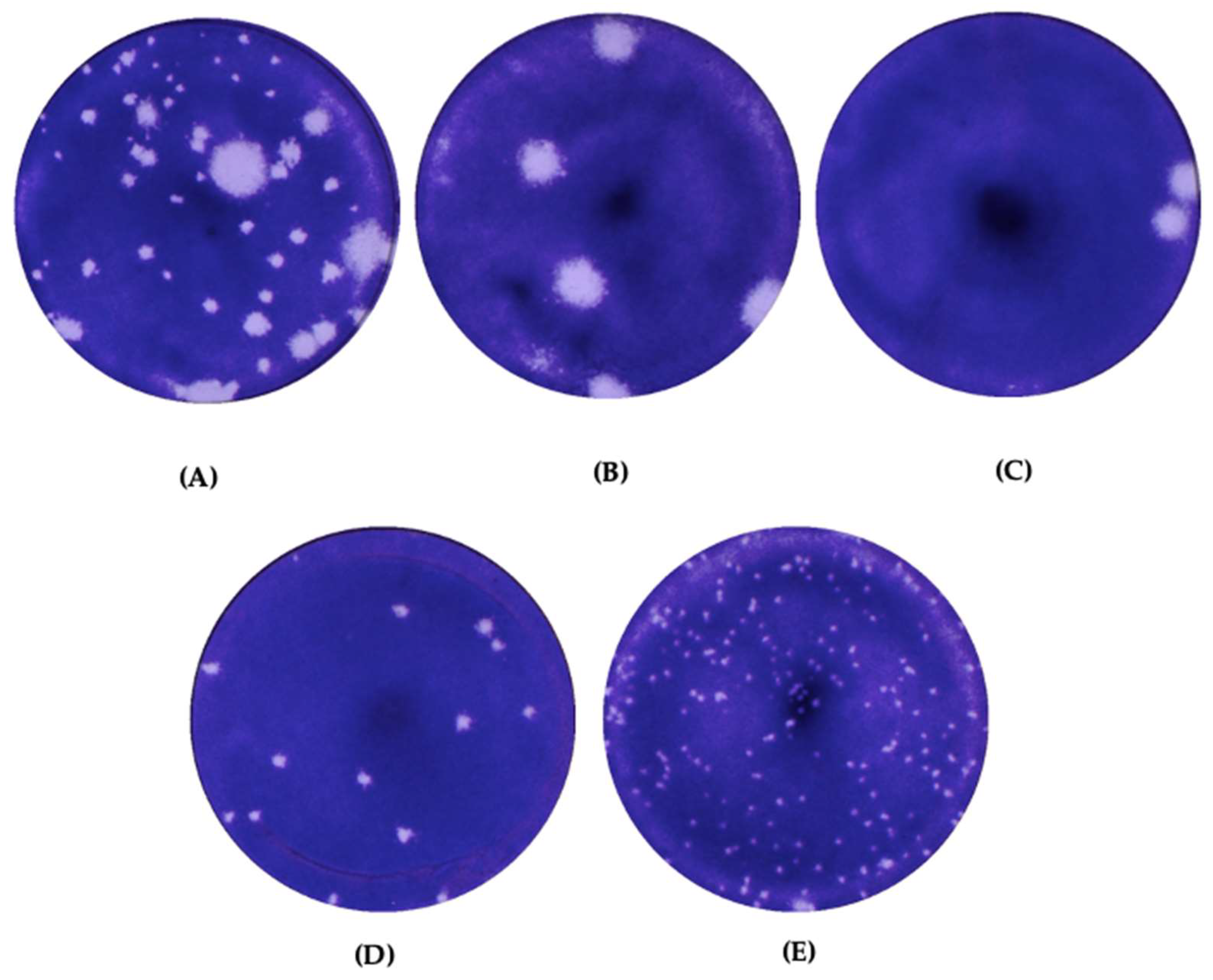 Vaccines 11 00629 g001 Vaccines 11 00629 g001