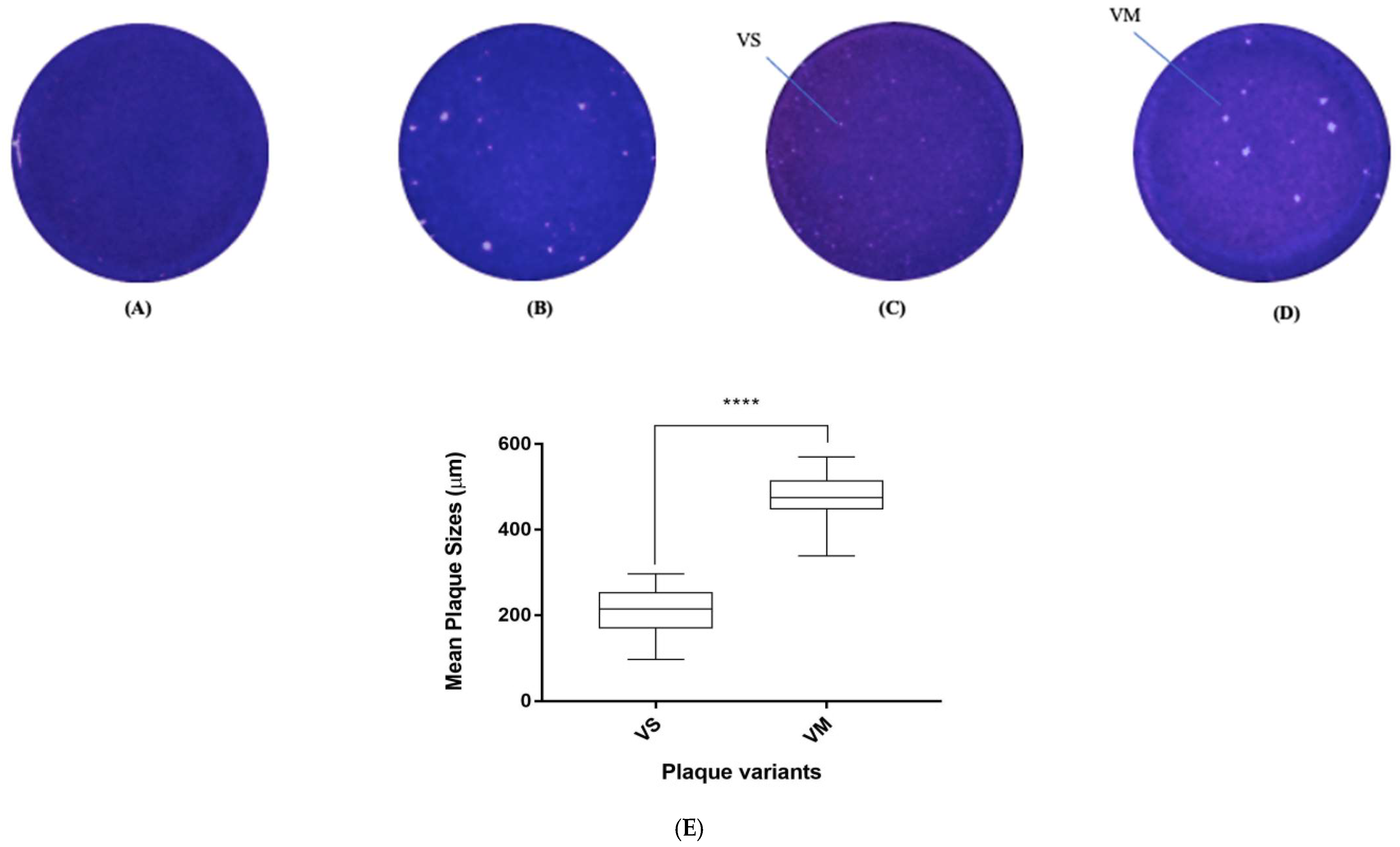 Vaccines 11 00629 g004 Vaccines 11 00629 g004