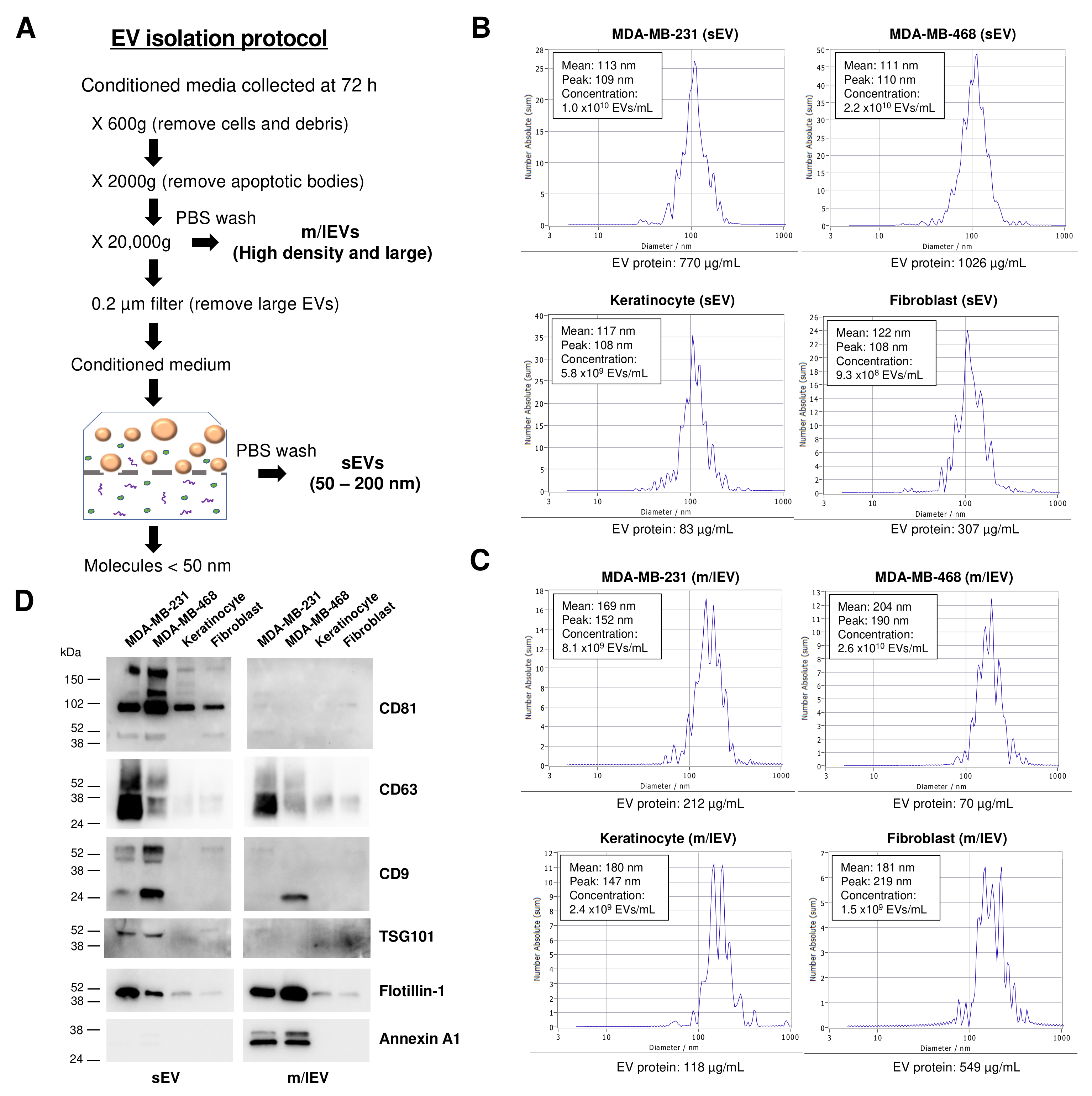 Vaccines 11 00639 g001 Vaccines 11 00639 g001