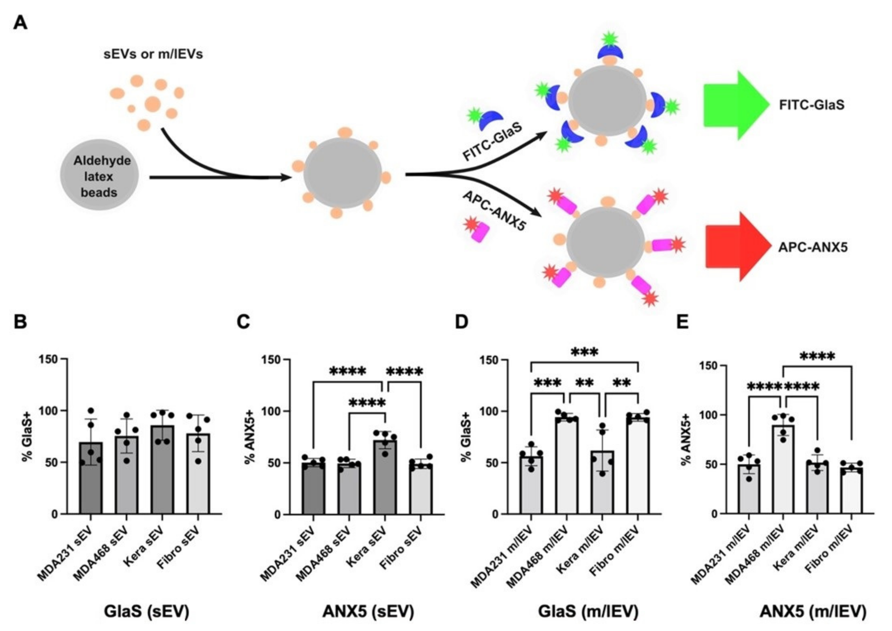 Vaccines 11 00639 g003 Vaccines 11 00639 g003