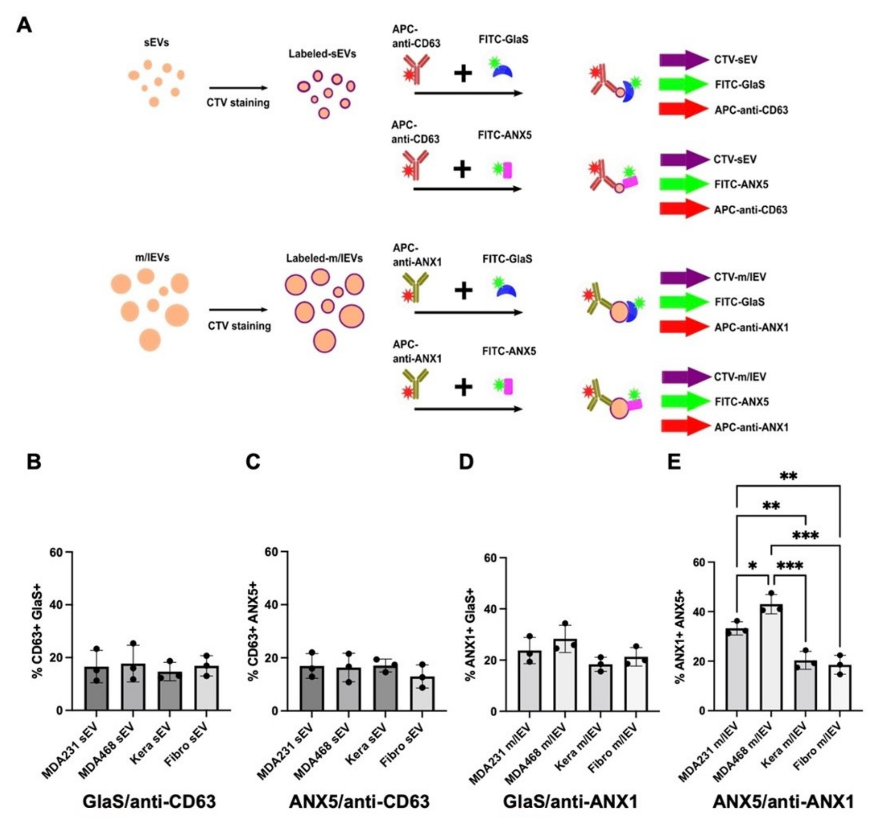Vaccines 11 00639 g004 Vaccines 11 00639 g004