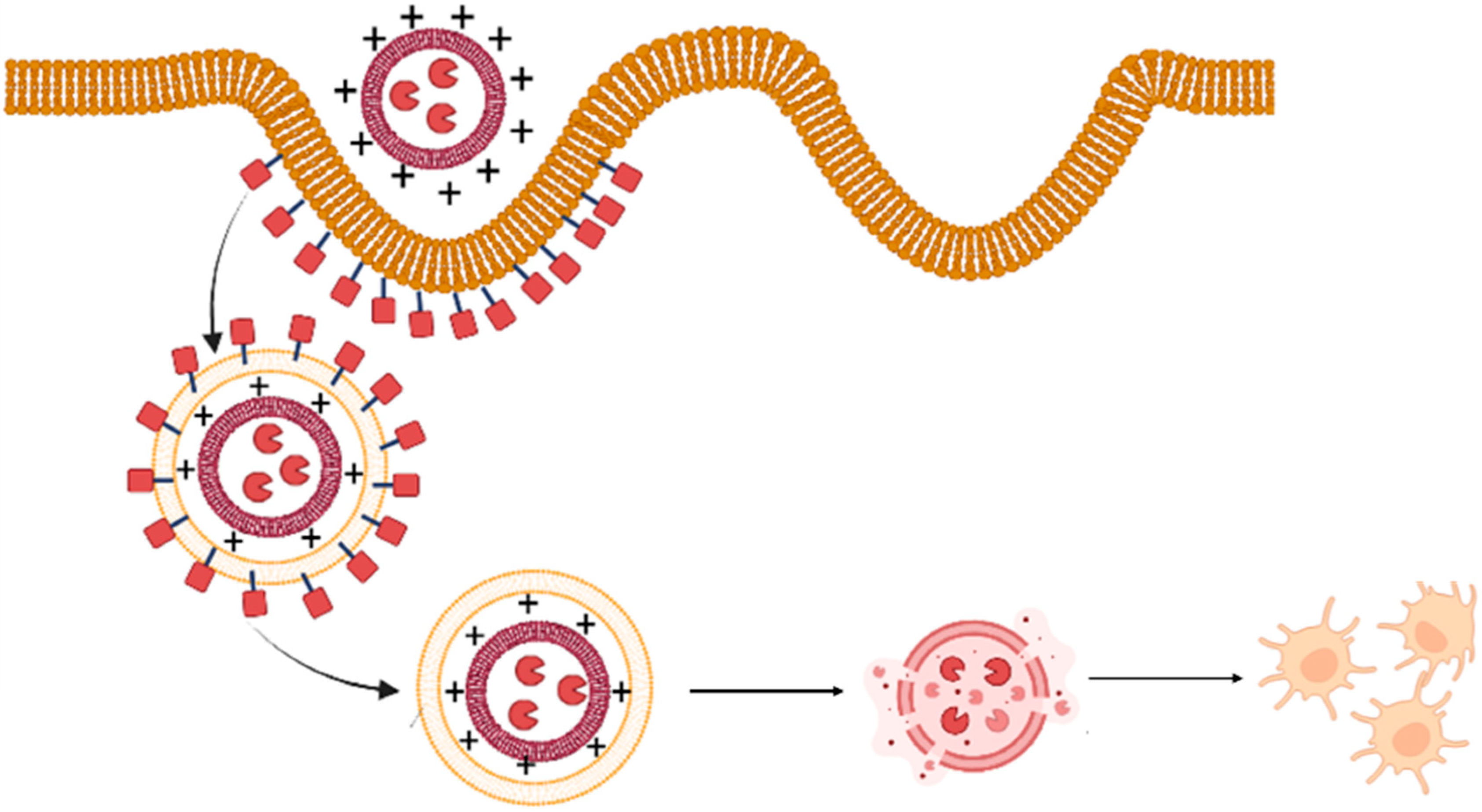 Vaccines 11 00661 g009 Vaccines 11 00661 g009