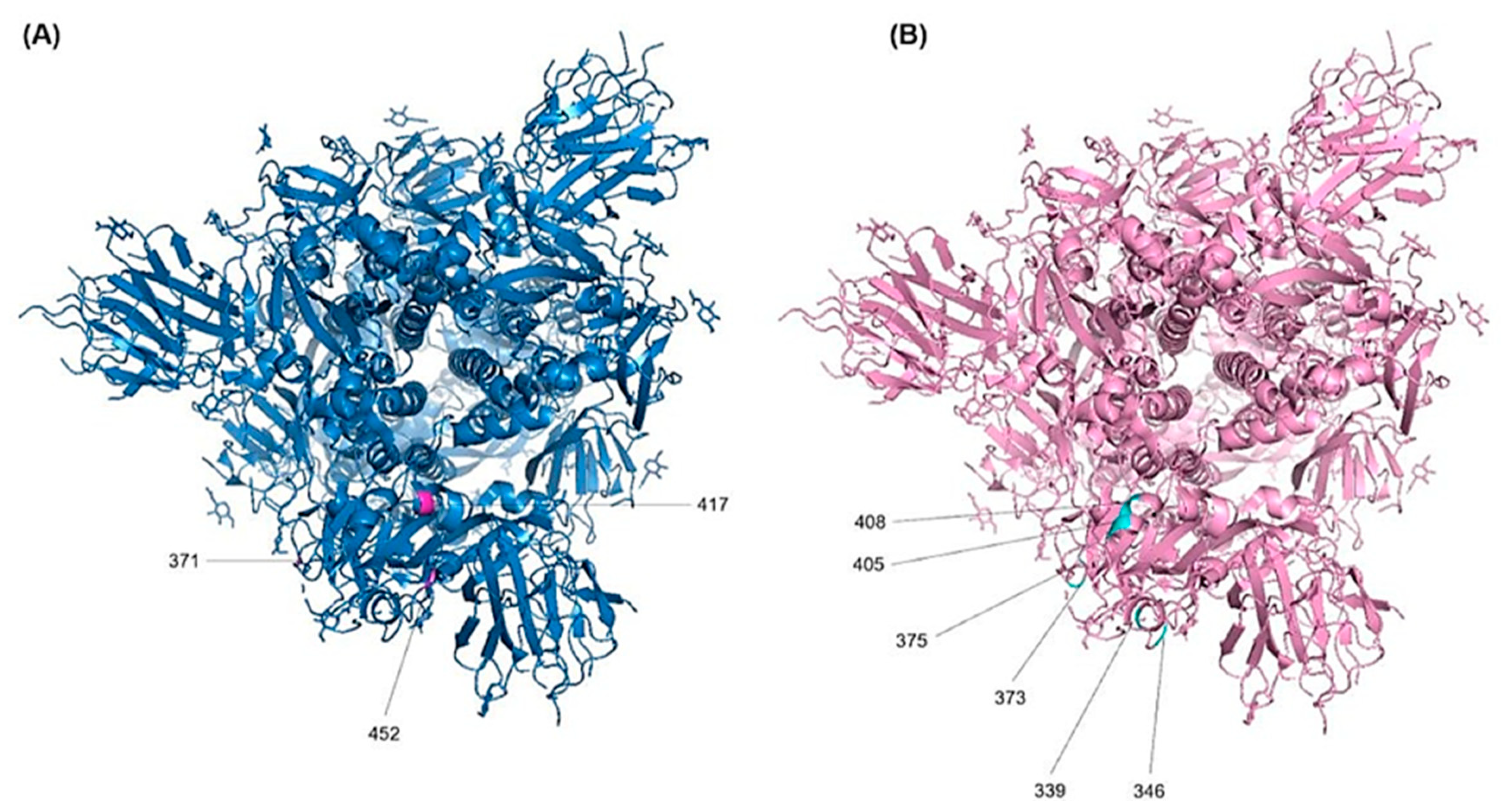 Vaccines 11 00668 g005 Vaccines 11 00668 g005
