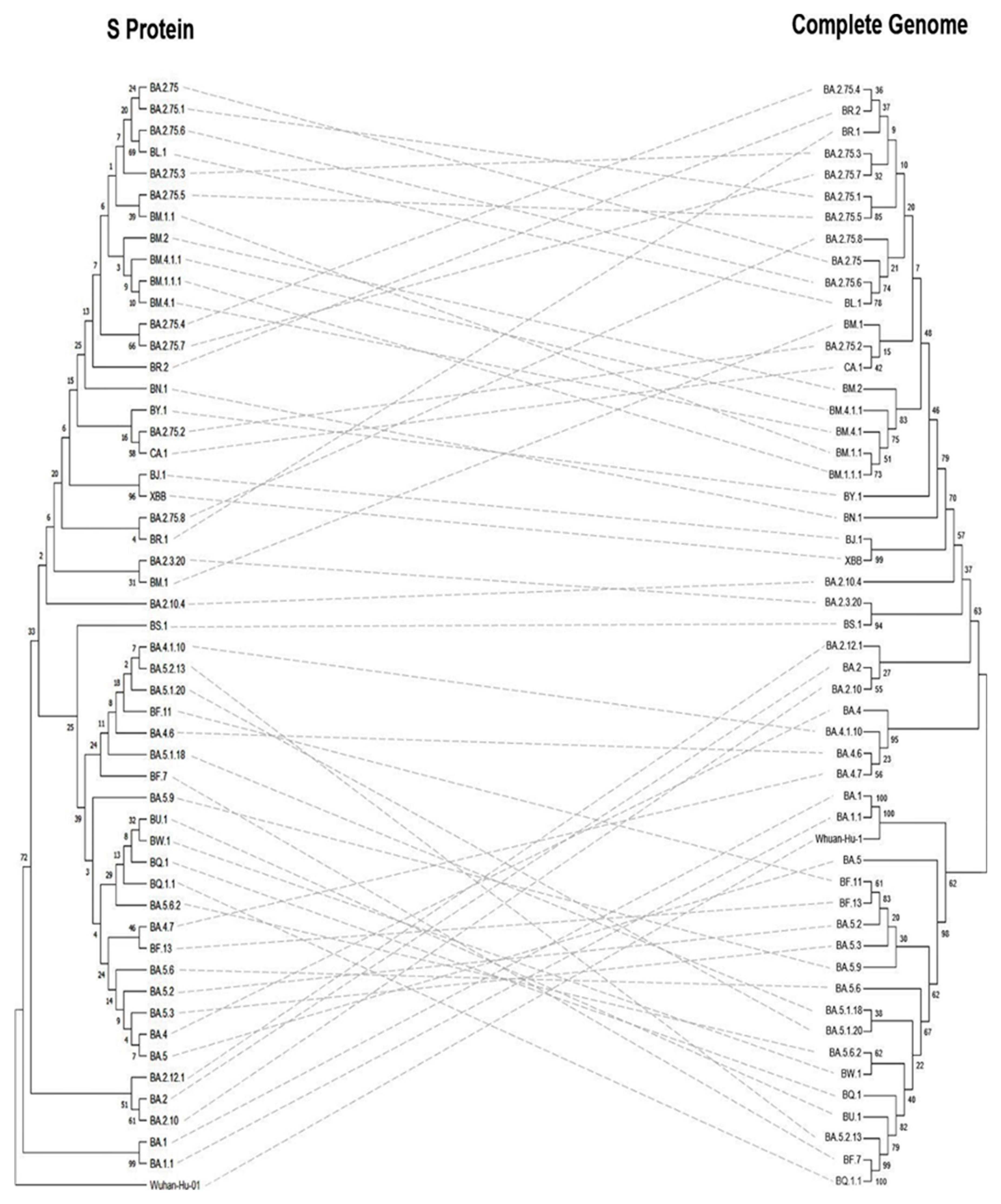 Vaccines 11 00668 g006 Vaccines 11 00668 g006