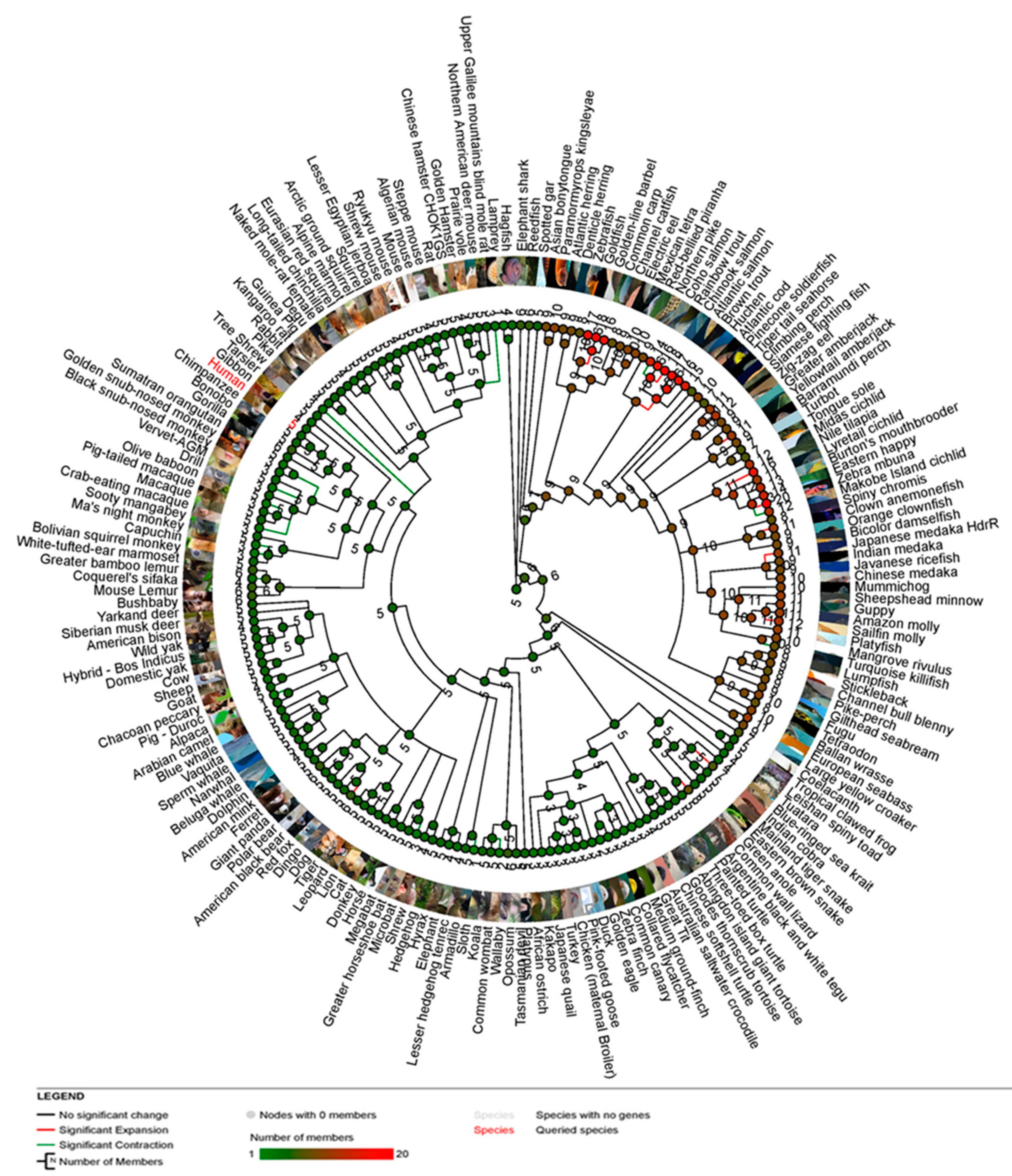 Vaccines 11 00671 g002