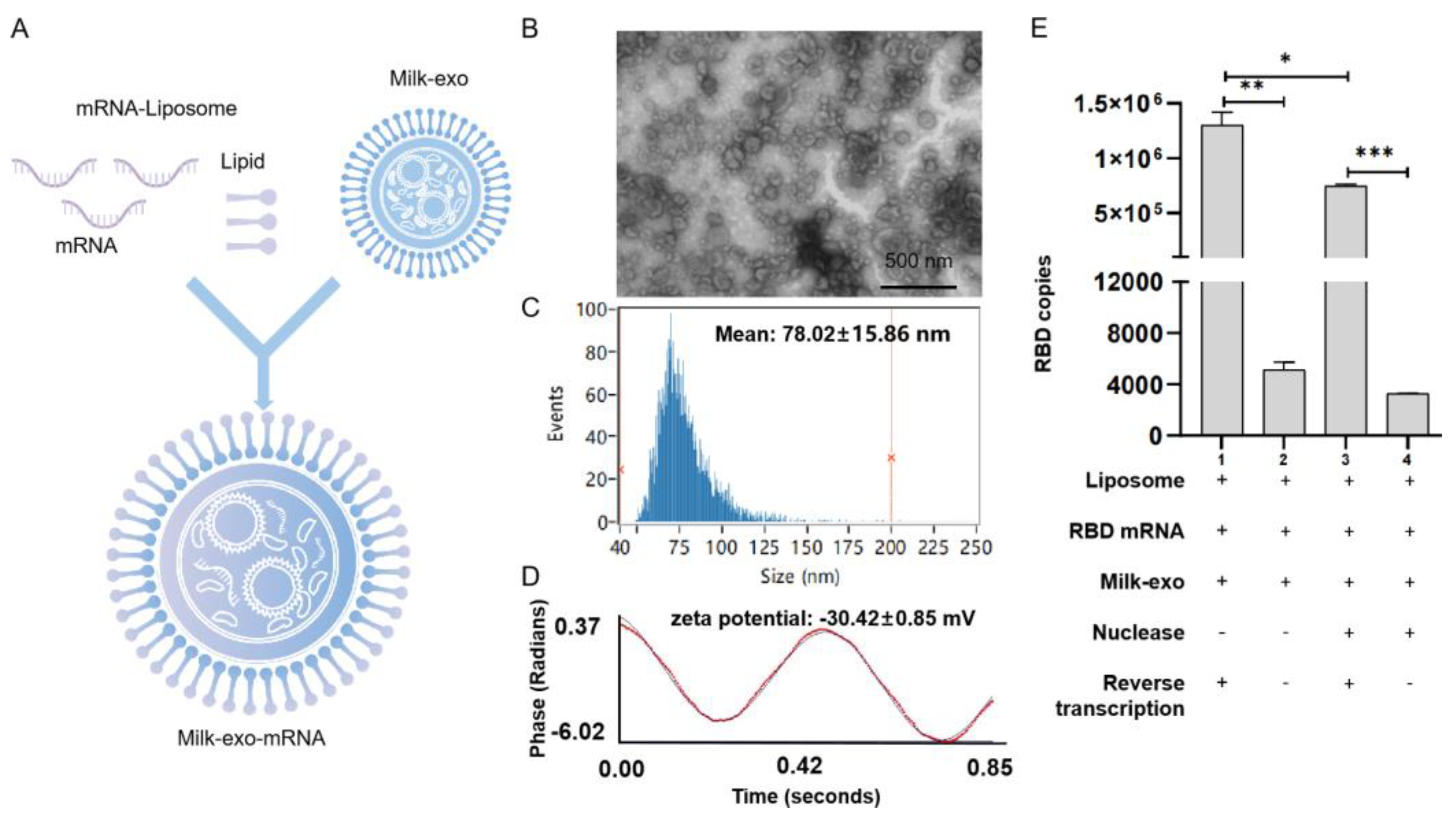 Vaccines 11 00673 g004 Vaccines 11 00673 g004