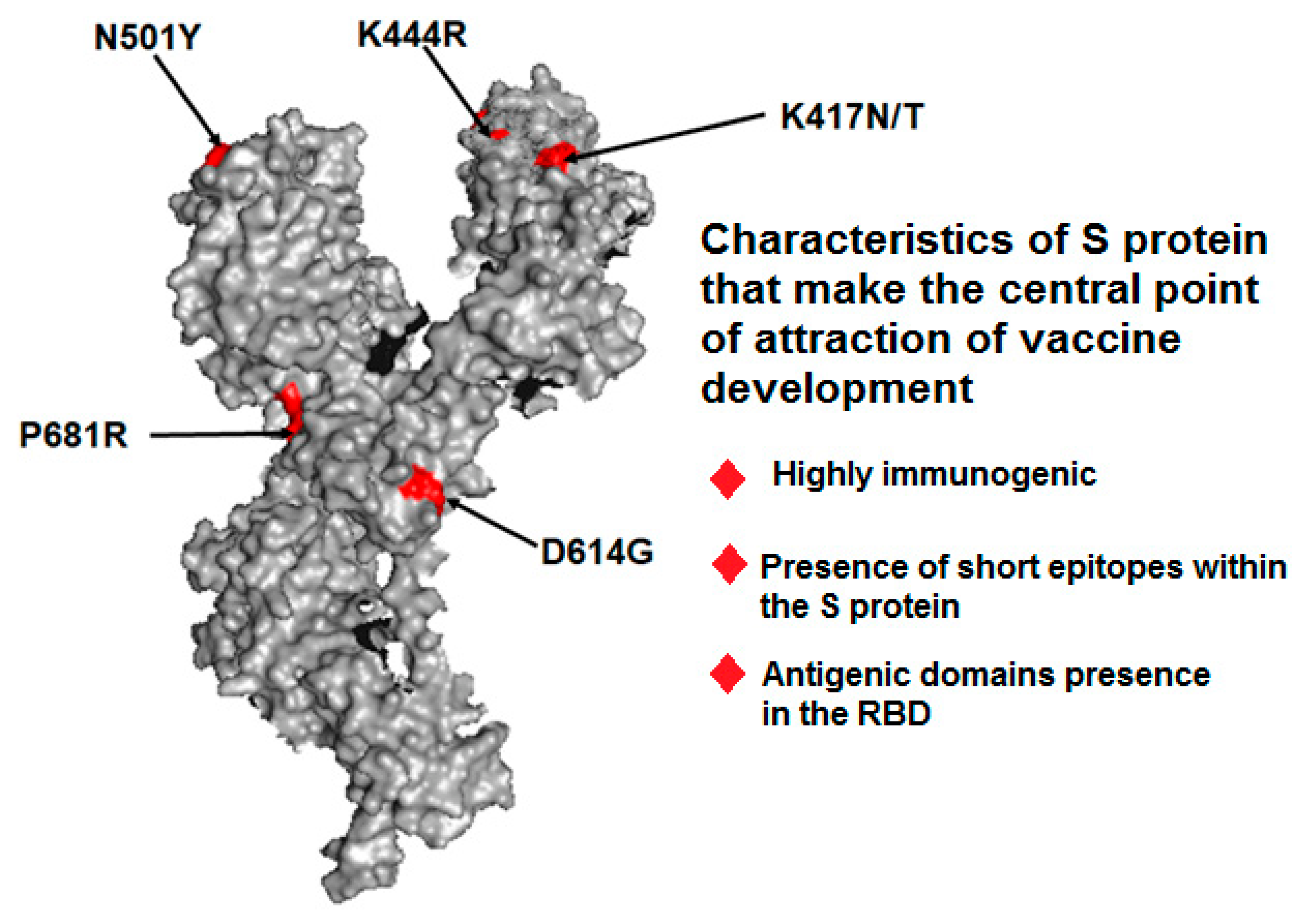 Vaccines 11 00682 g004 Vaccines 11 00682 g004