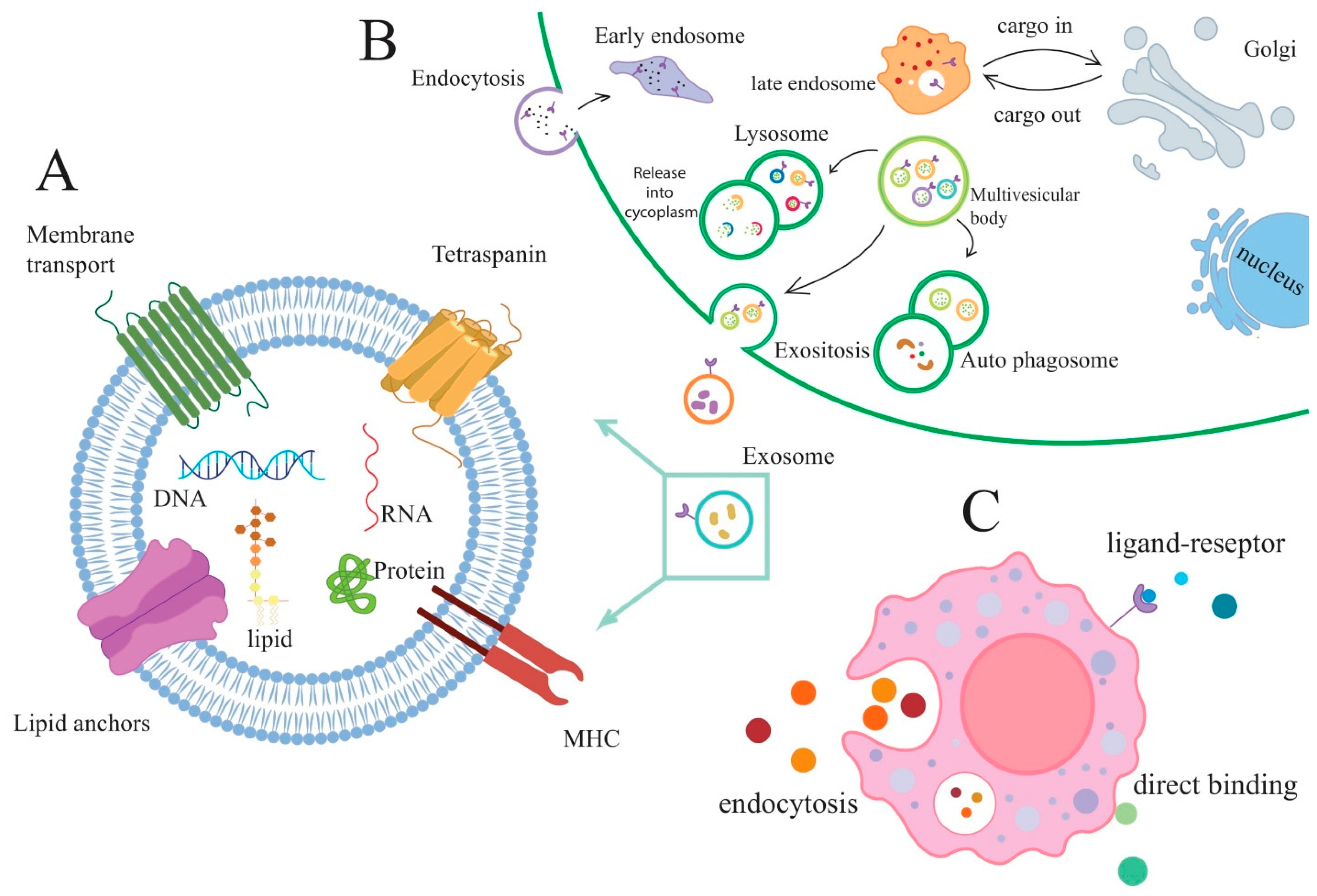 Vaccines 11 00687 g001 Vaccines 11 00687 g001
