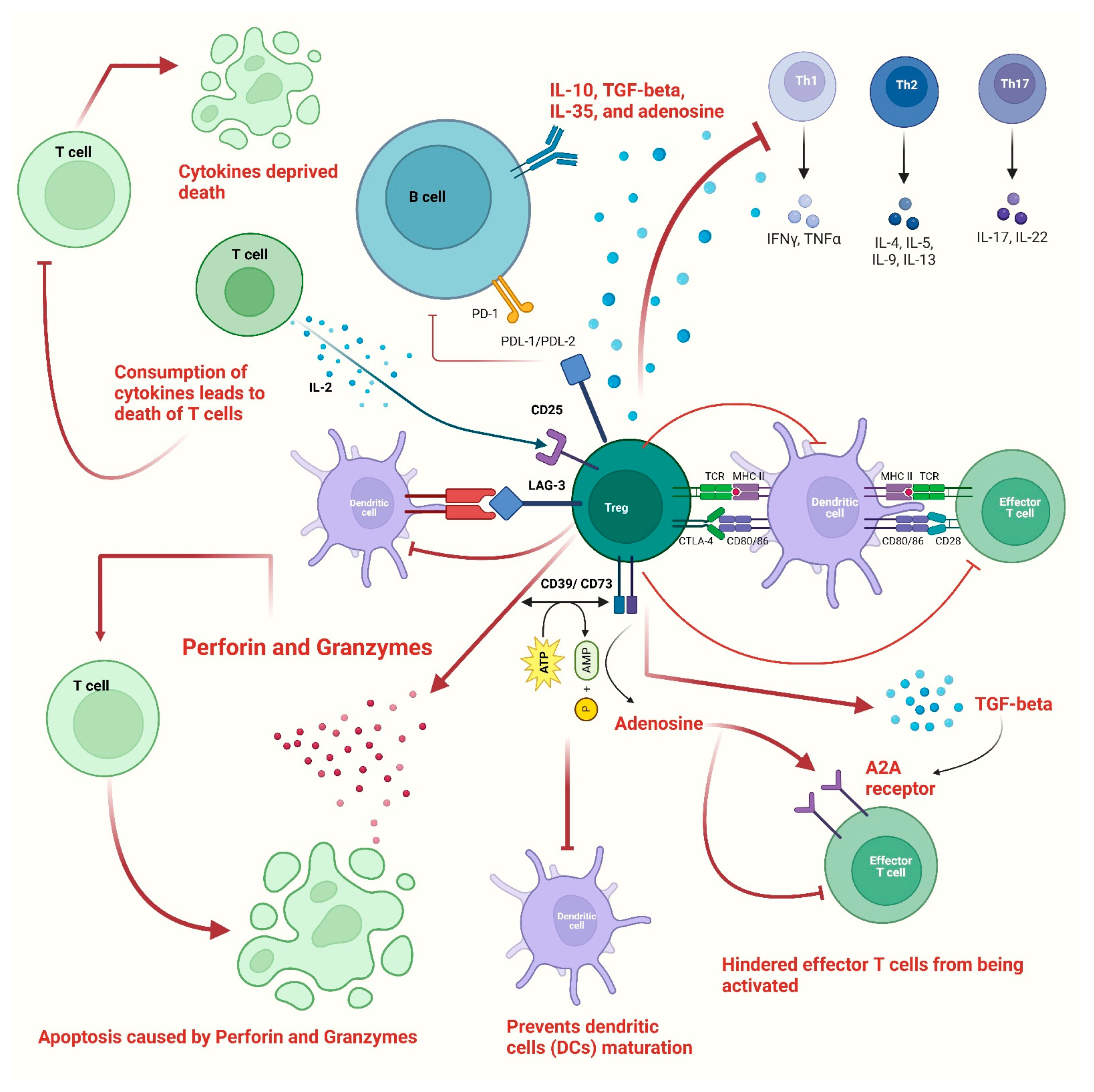 Vaccines 11 00699 g002 Vaccines 11 00699 g002