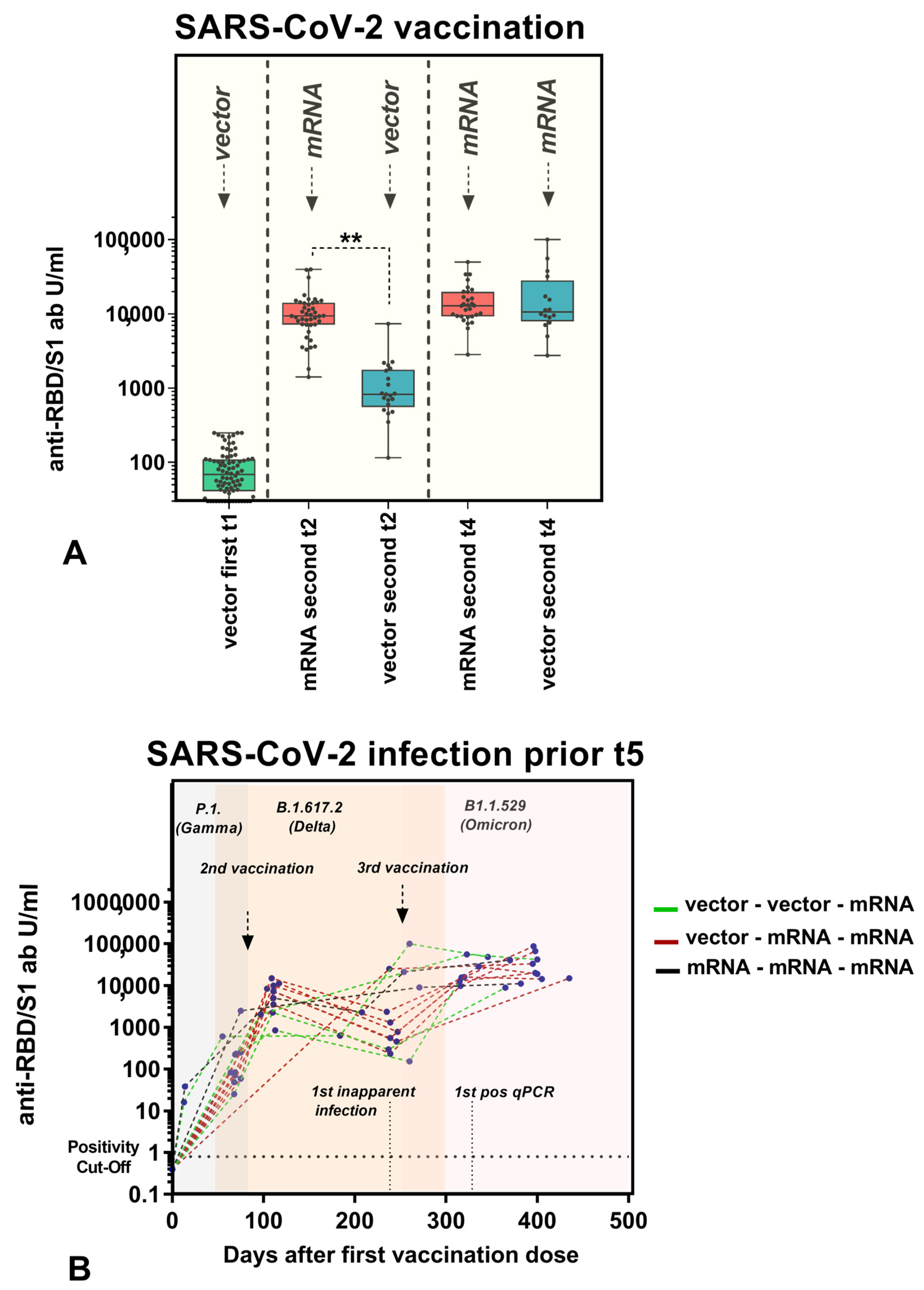 Vaccines 11 00701 g005 Vaccines 11 00701 g005
