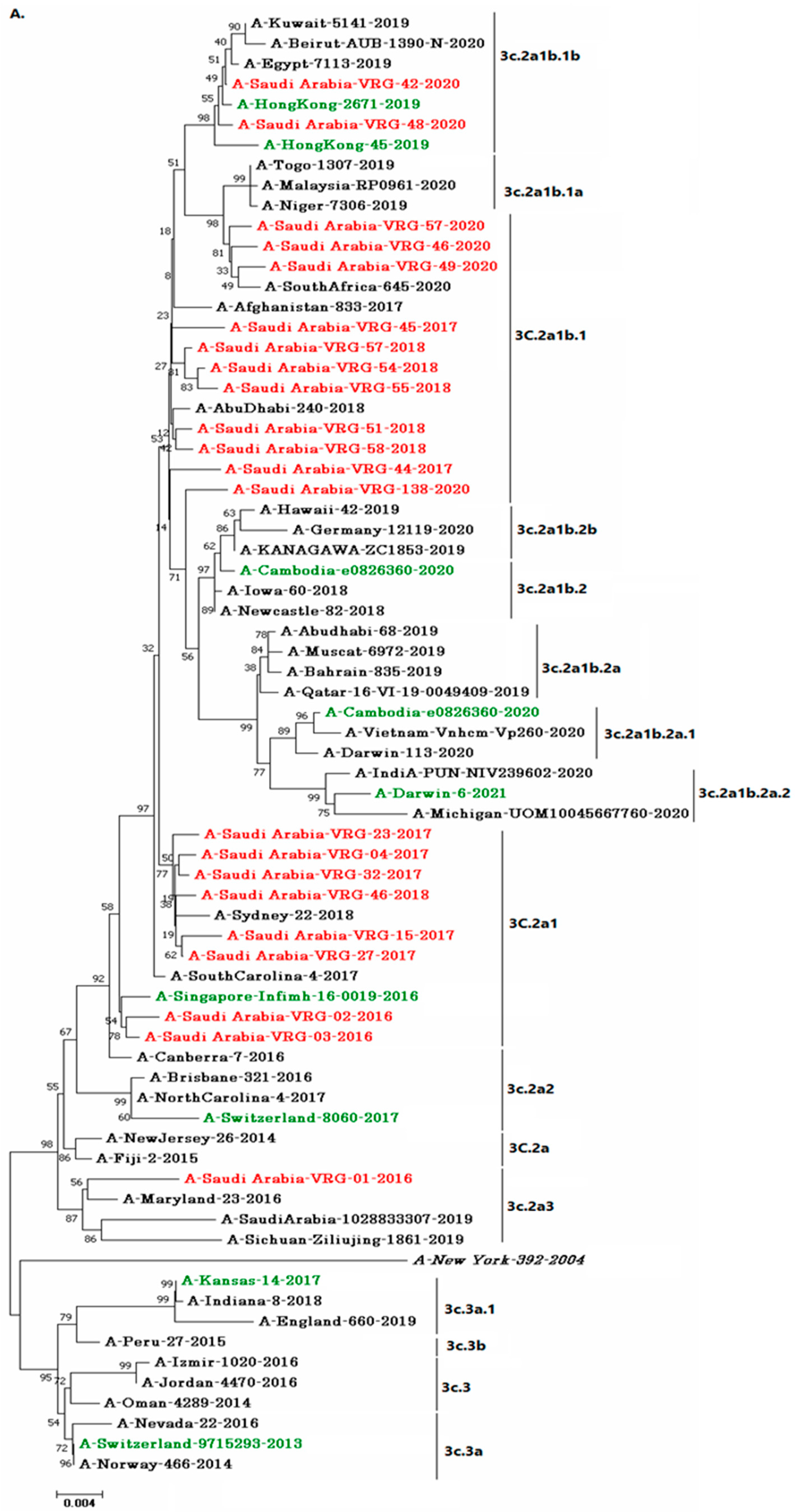 Vaccines 11 00702 g002a Vaccines 11 00702 g002a