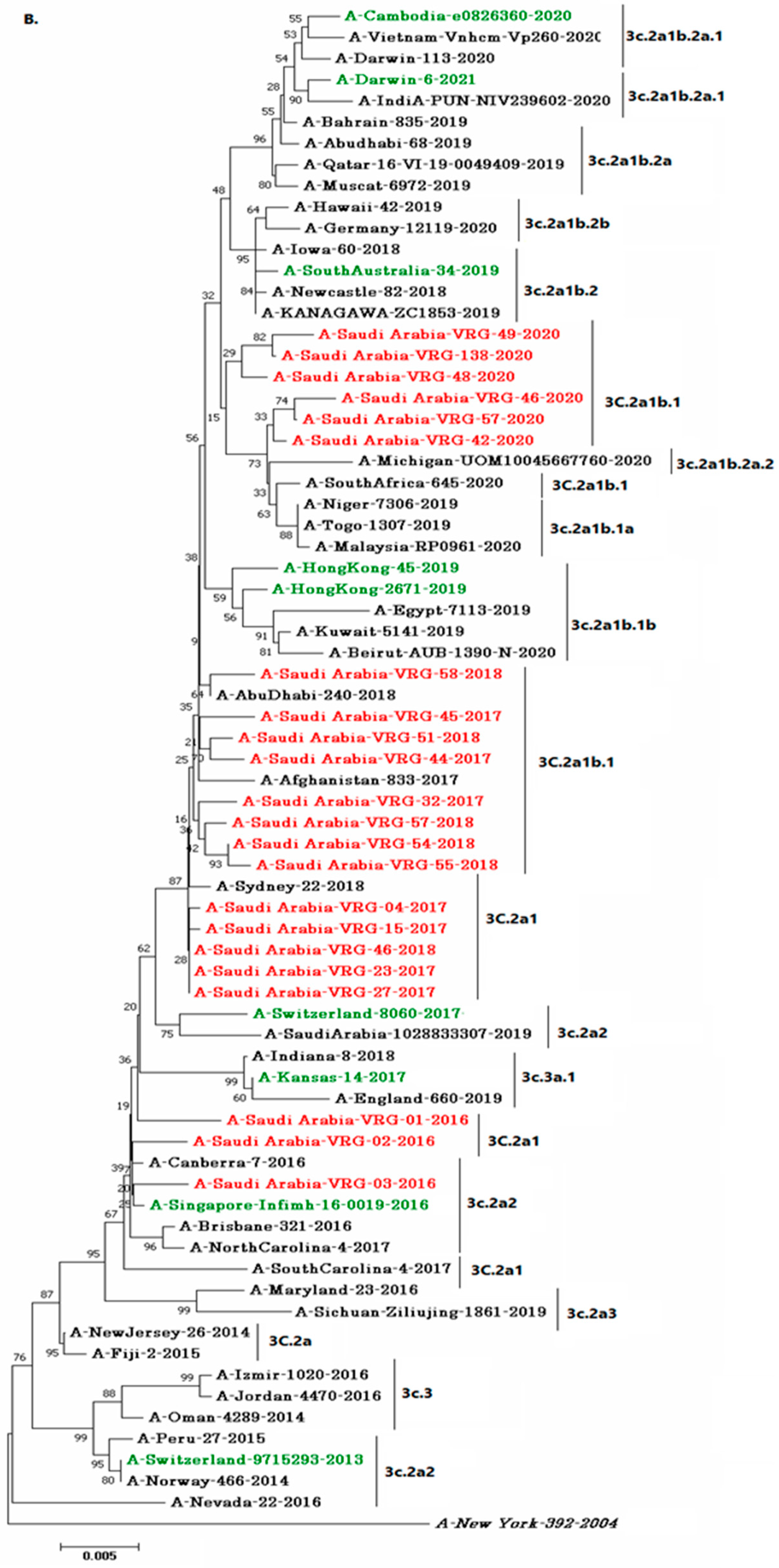 Vaccines 11 00702 g002b Vaccines 11 00702 g002b