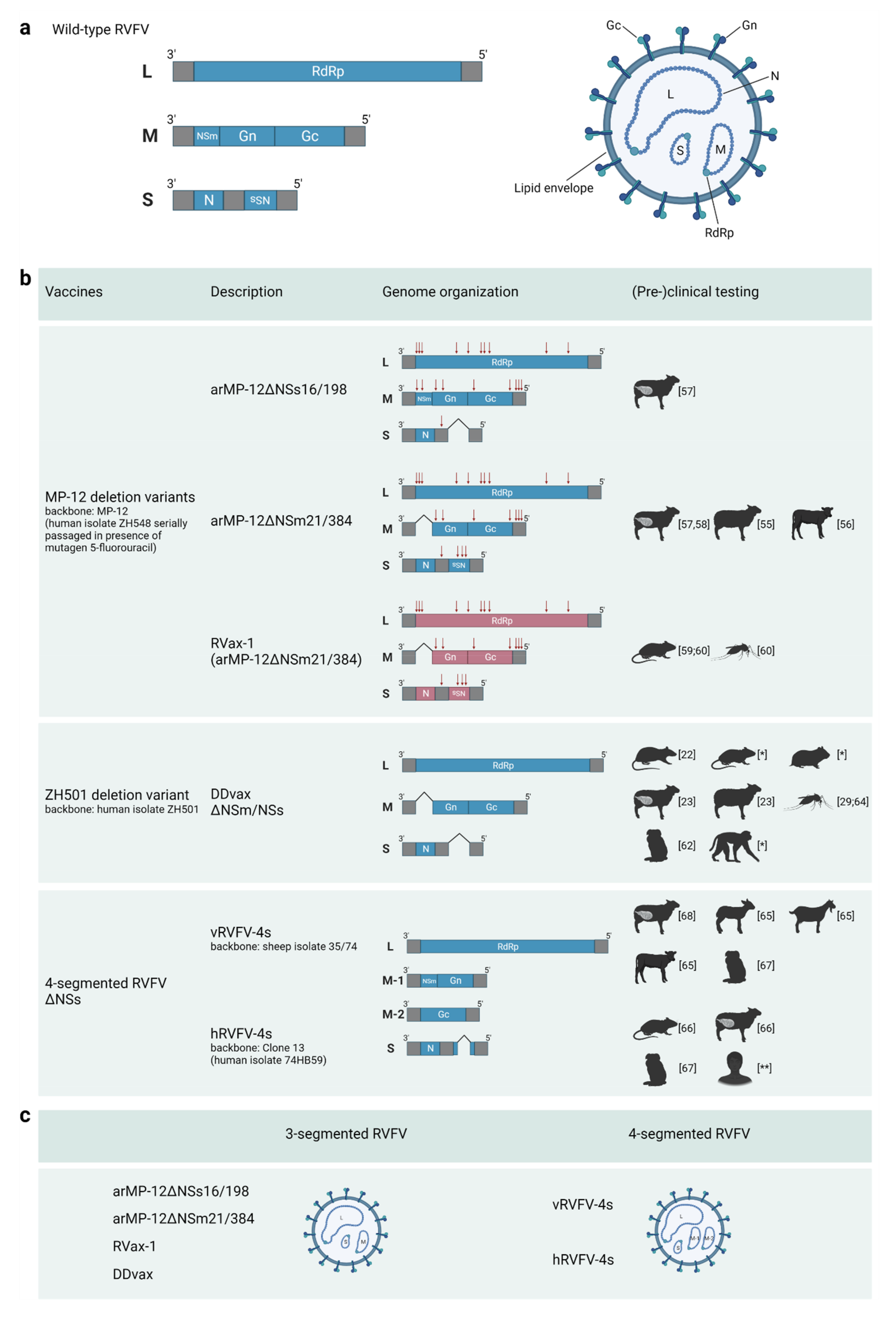 Vaccines 11 00707 g001 Vaccines 11 00707 g001