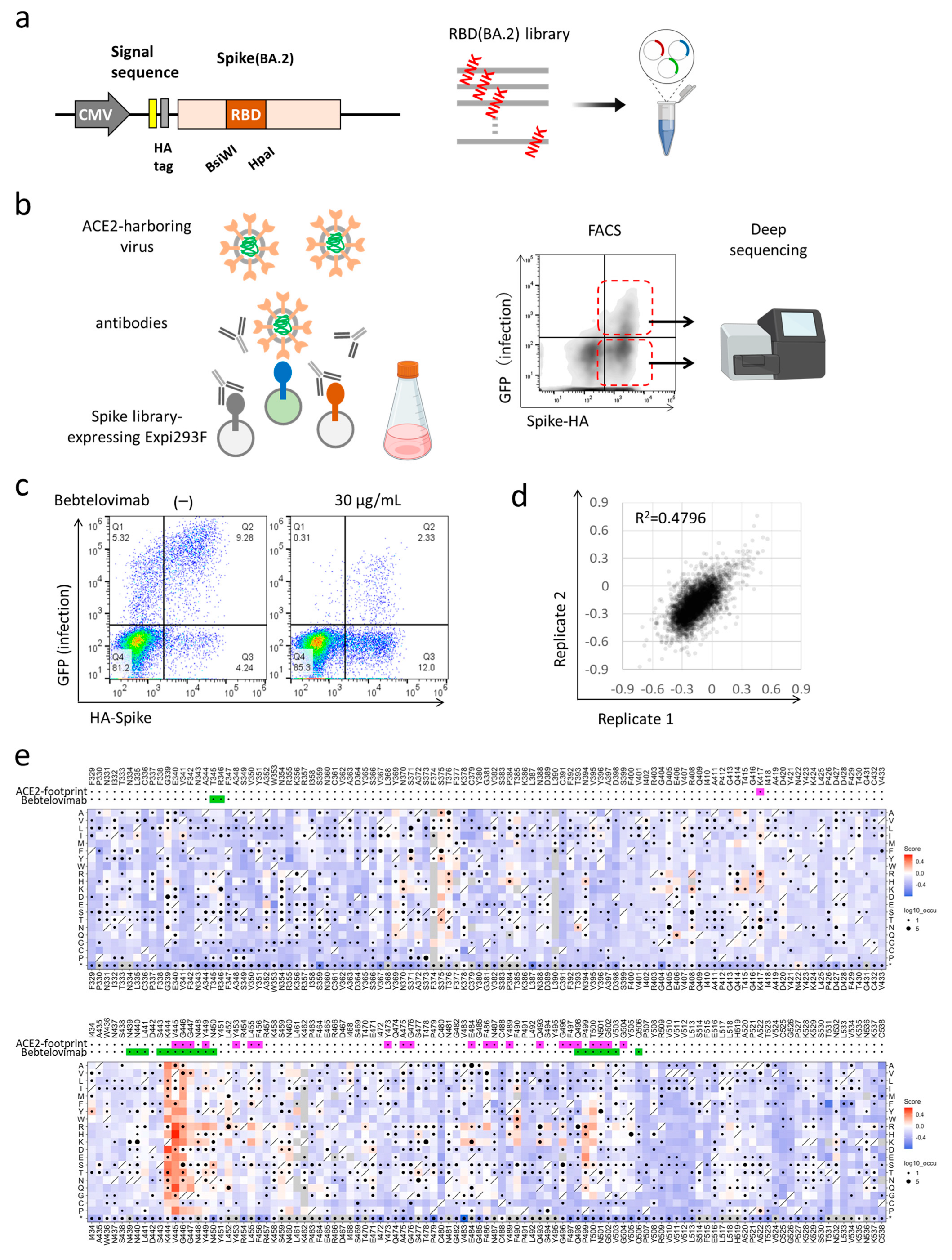 Vaccines 11 00711 g001 Vaccines 11 00711 g001
