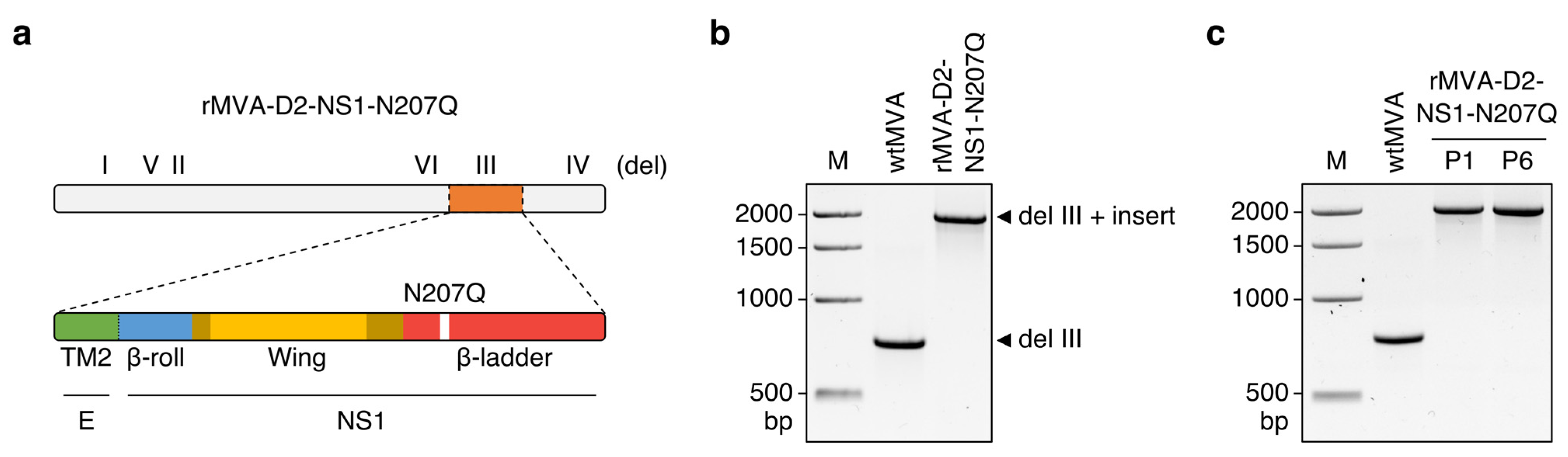 Vaccines 11 00714 g001 Vaccines 11 00714 g001