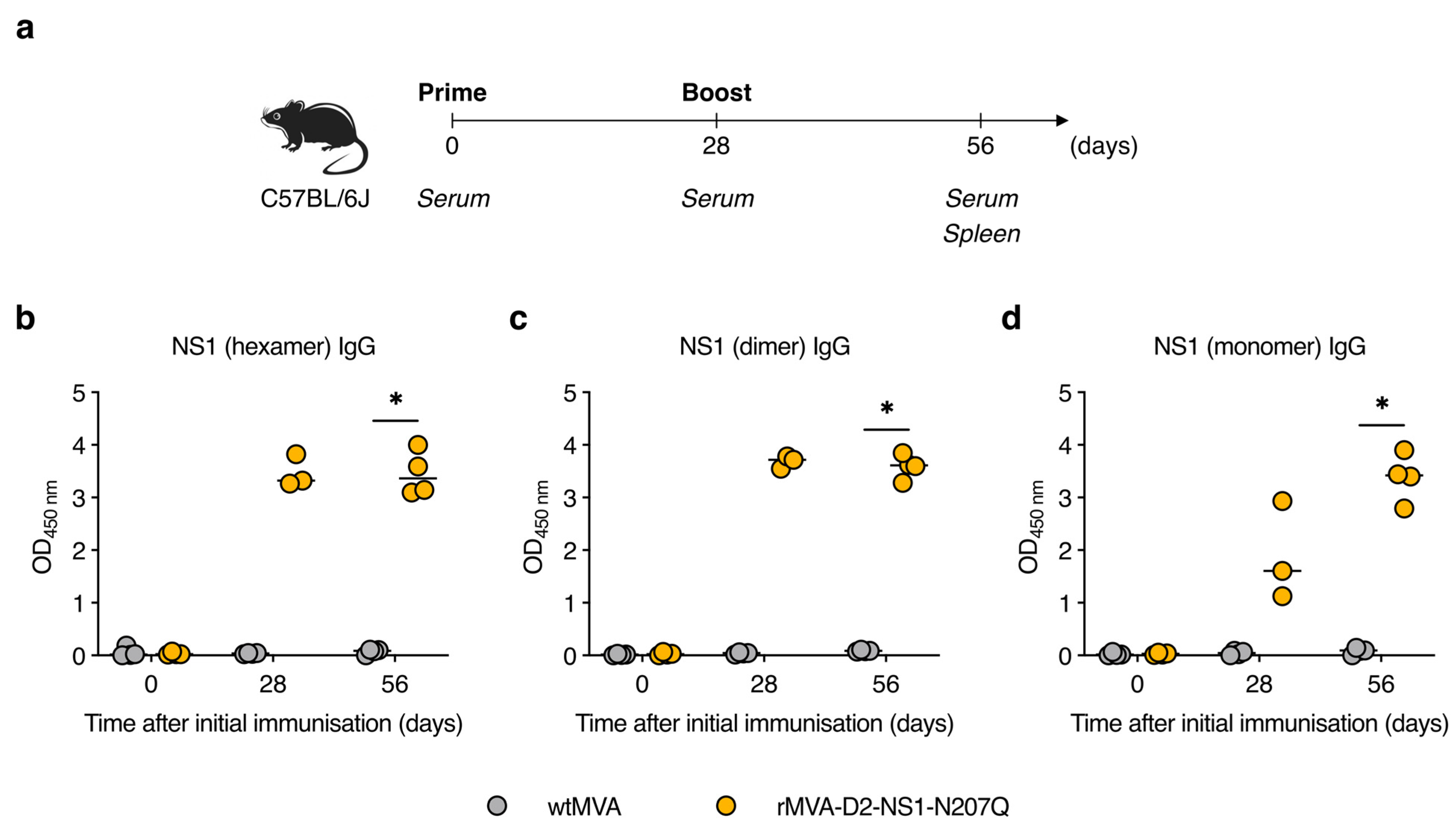 Vaccines 11 00714 g003 Vaccines 11 00714 g003
