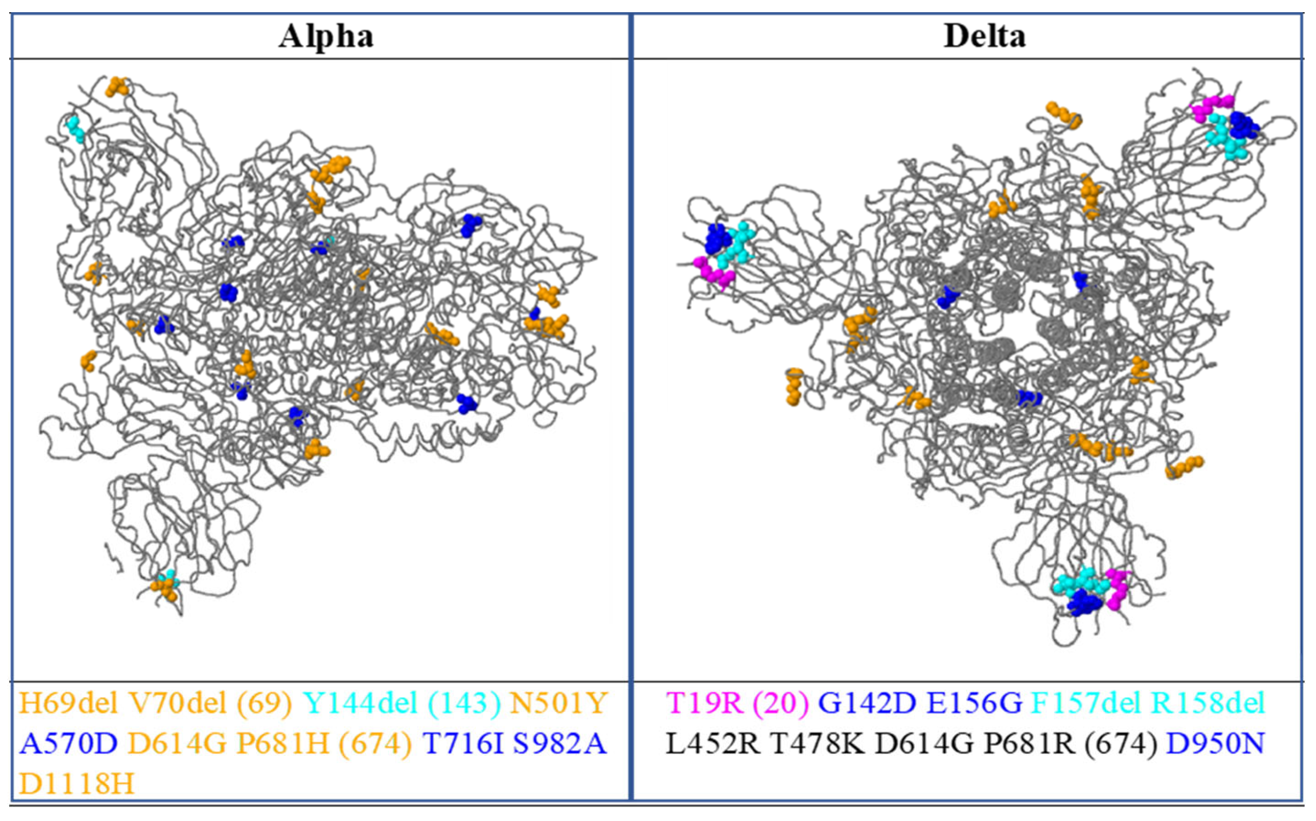 Vaccines 11 00736 g005 Vaccines 11 00736 g005