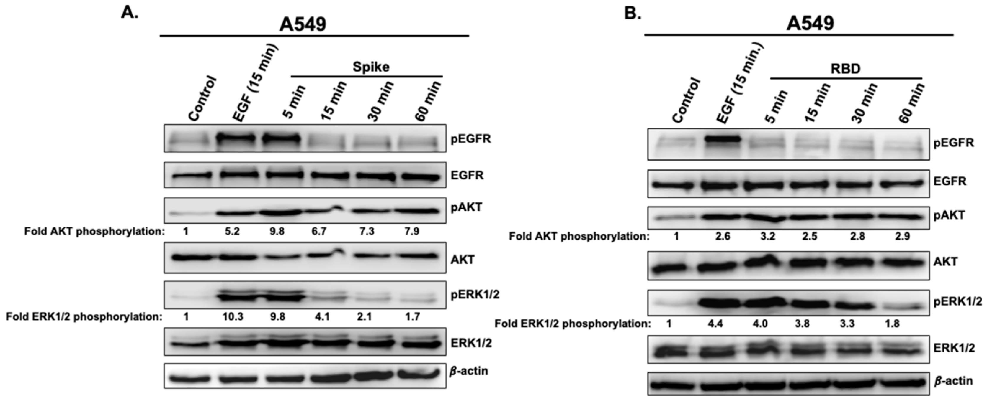 Vaccines 11 00768 g002 Vaccines 11 00768 g002