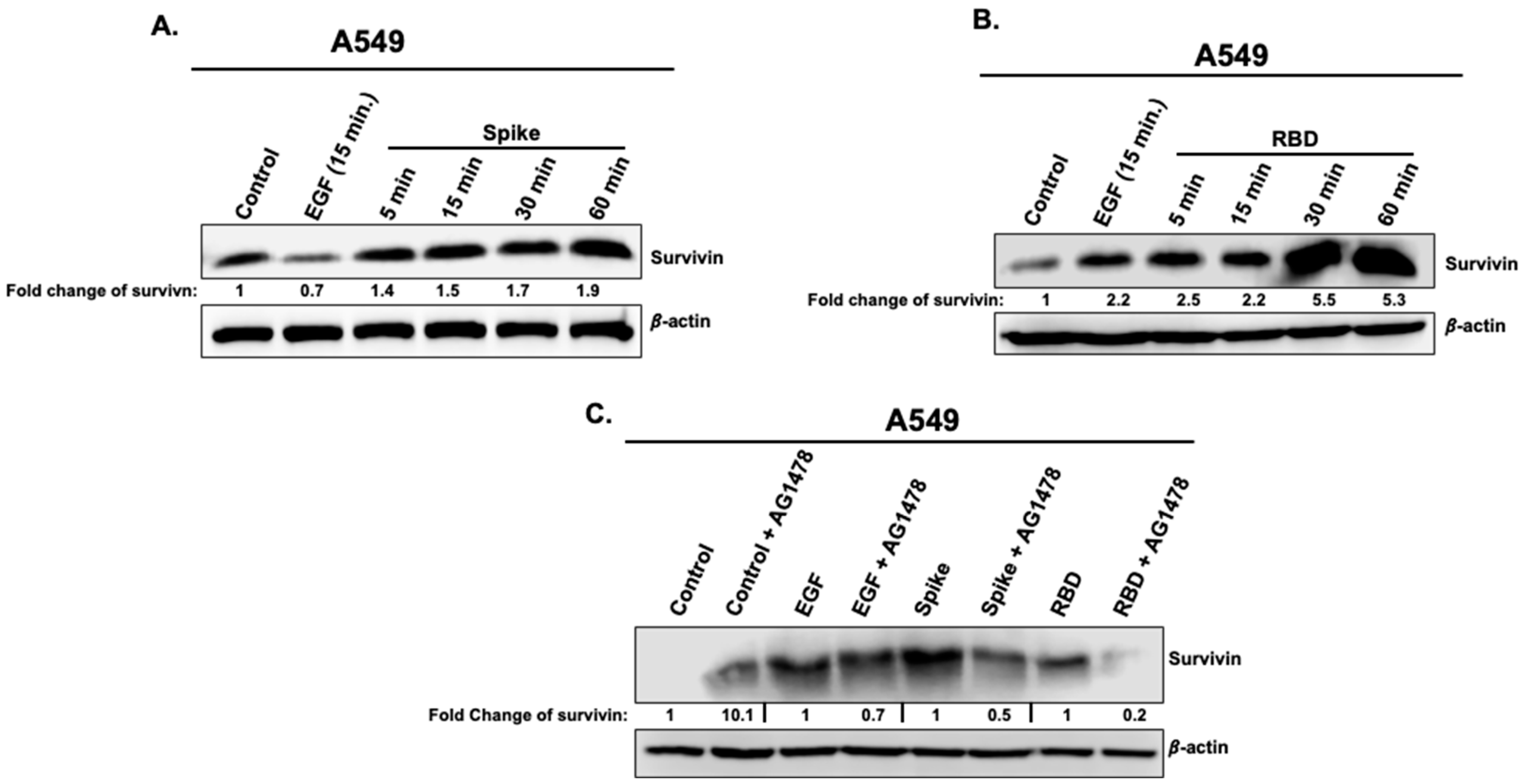 Vaccines 11 00768 g005 Vaccines 11 00768 g005