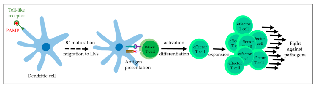 Vaccines 11 00769 g002 Vaccines 11 00769 g002