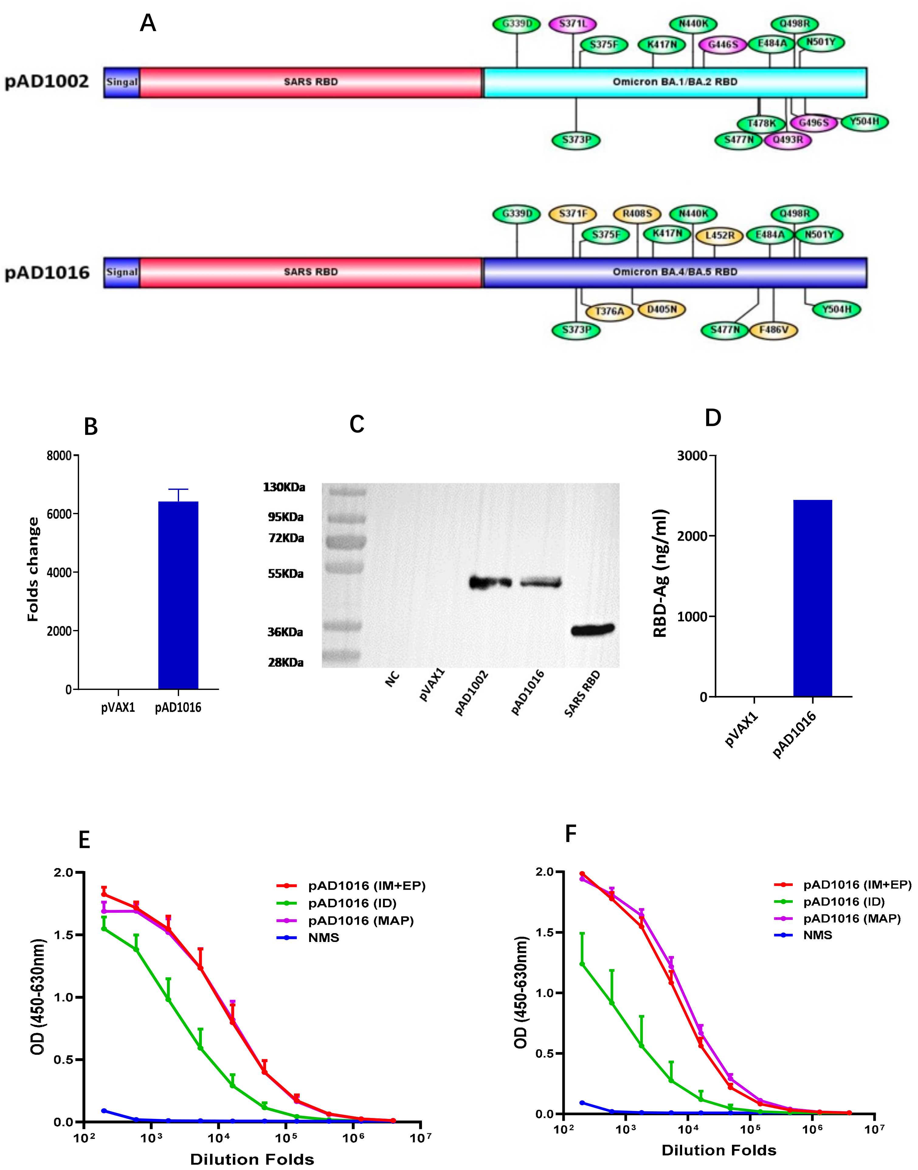 Vaccines 11 00778 g001