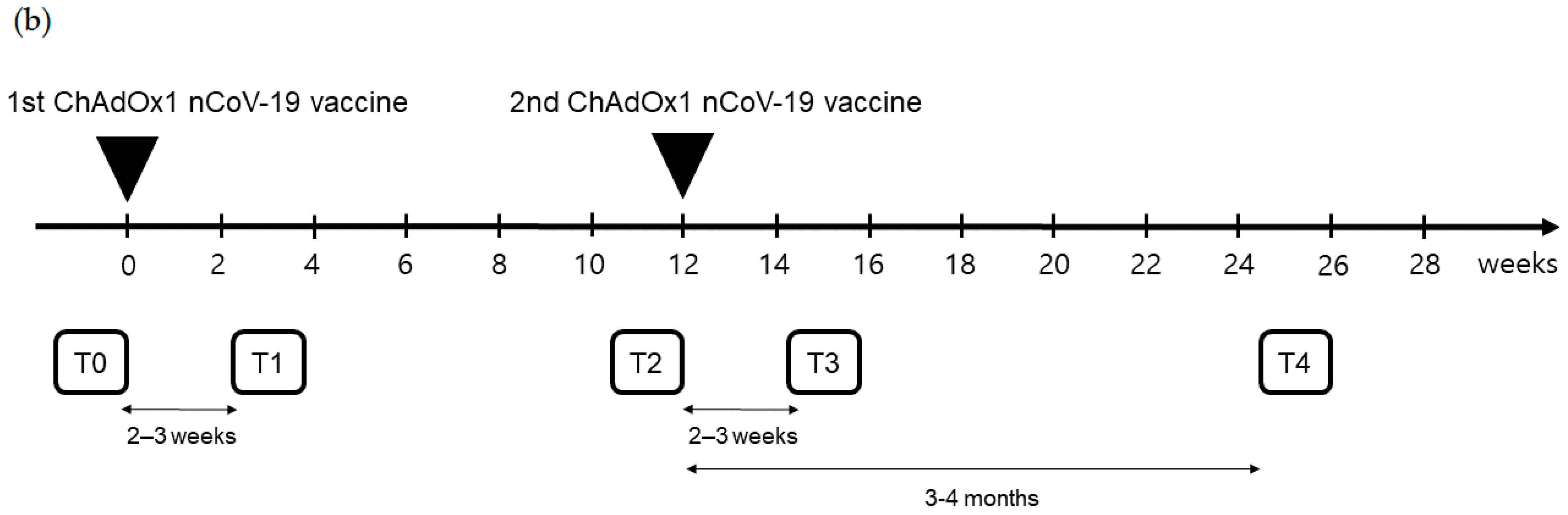 Vaccines 11 00784 g001b