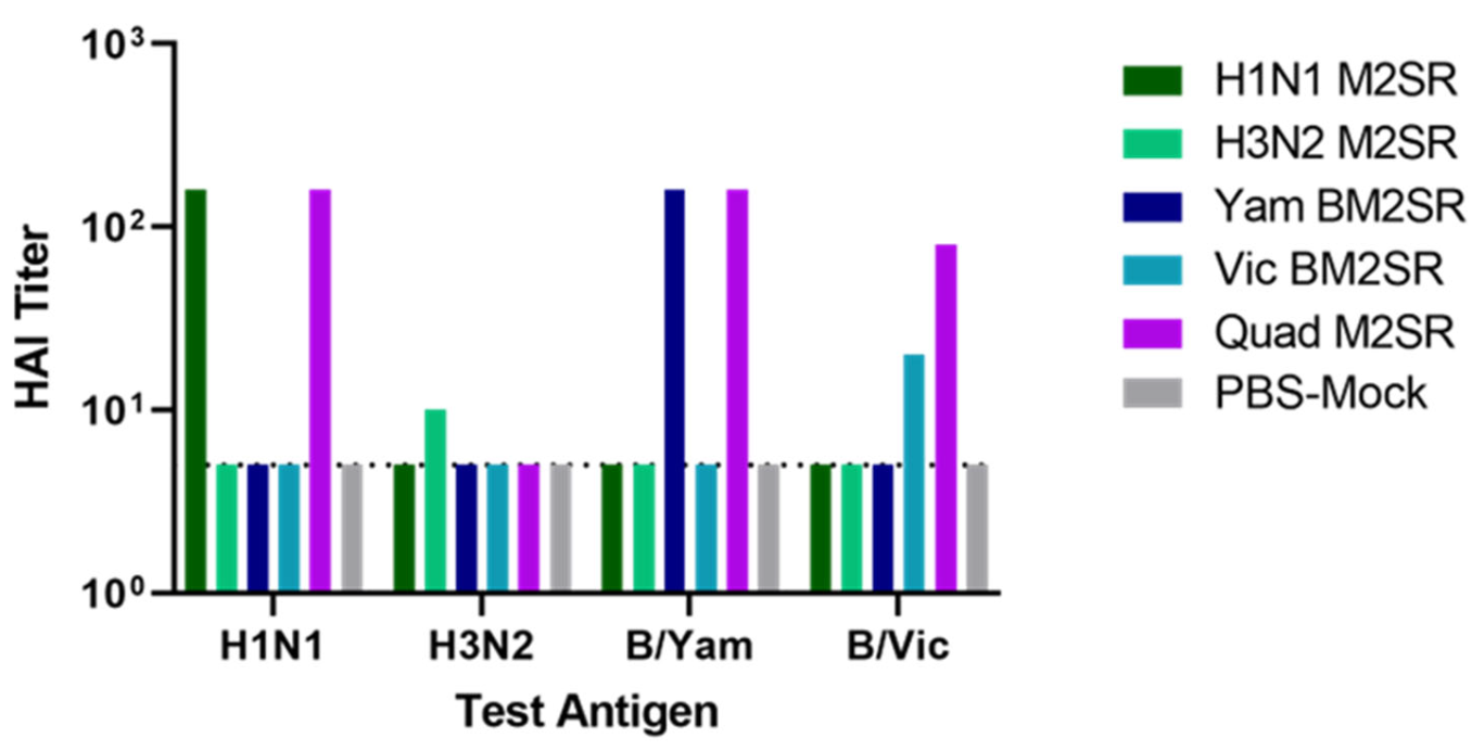 Vaccines 11 00798 g002