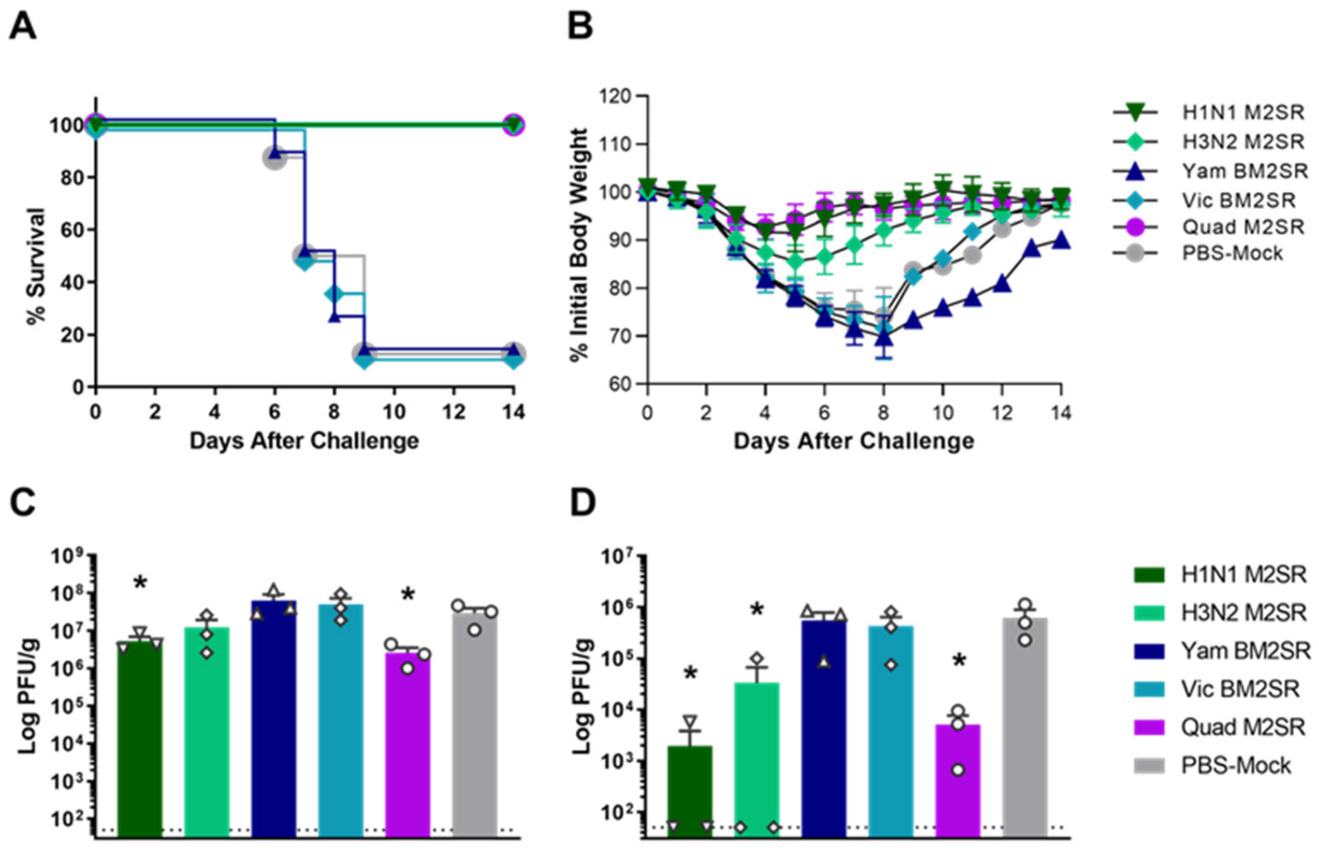 Vaccines 11 00798 g003