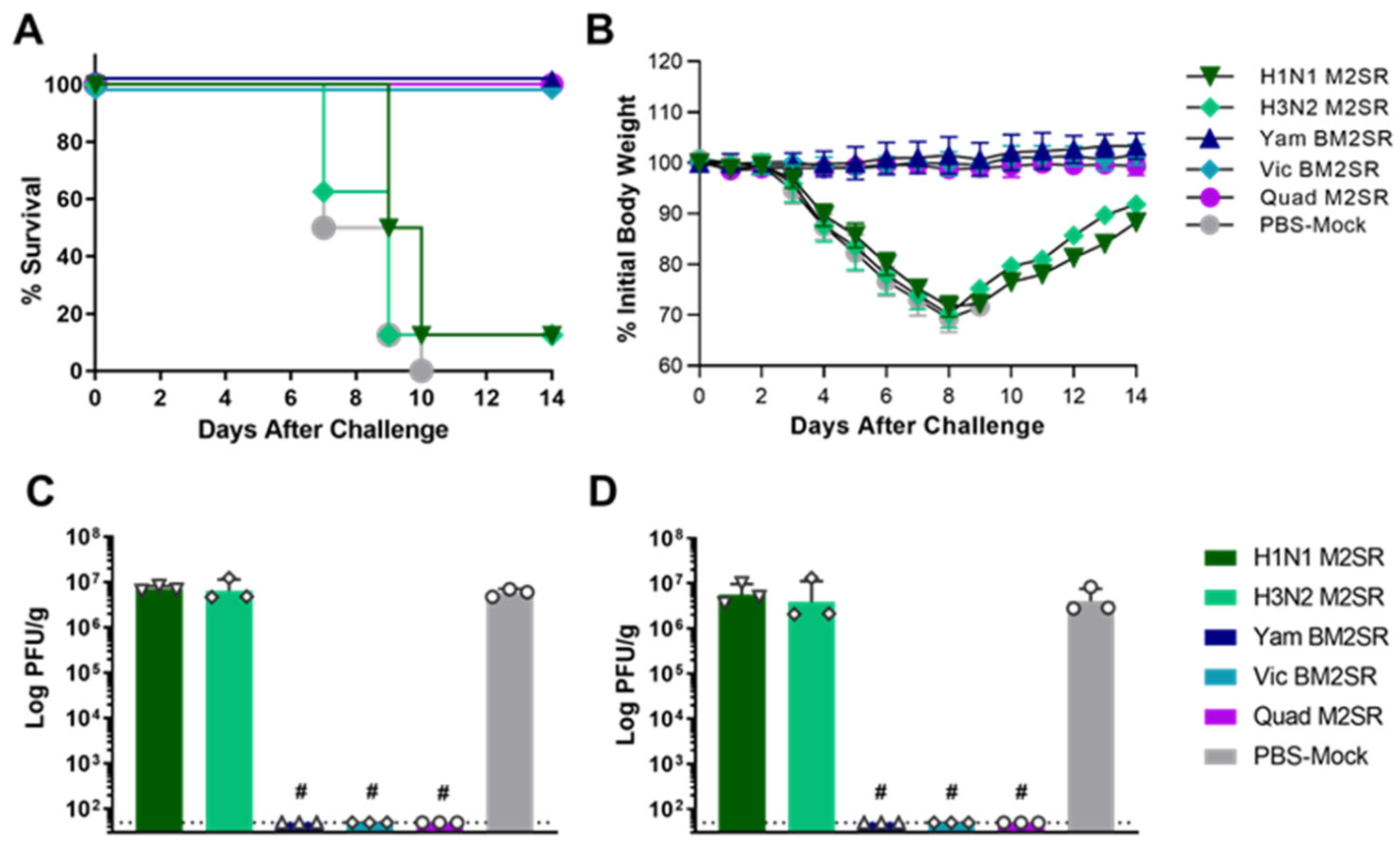 Vaccines 11 00798 g004