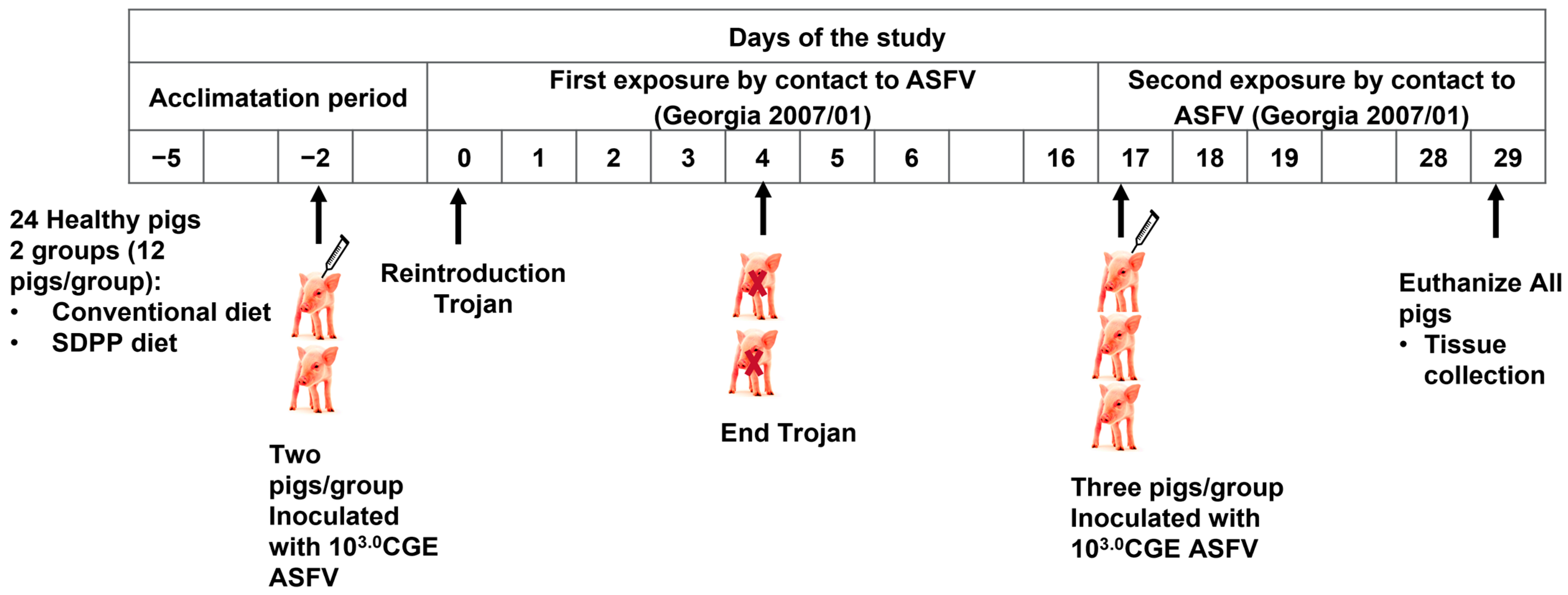 Vaccines 11 00824 g001 Vaccines 11 00824 g001