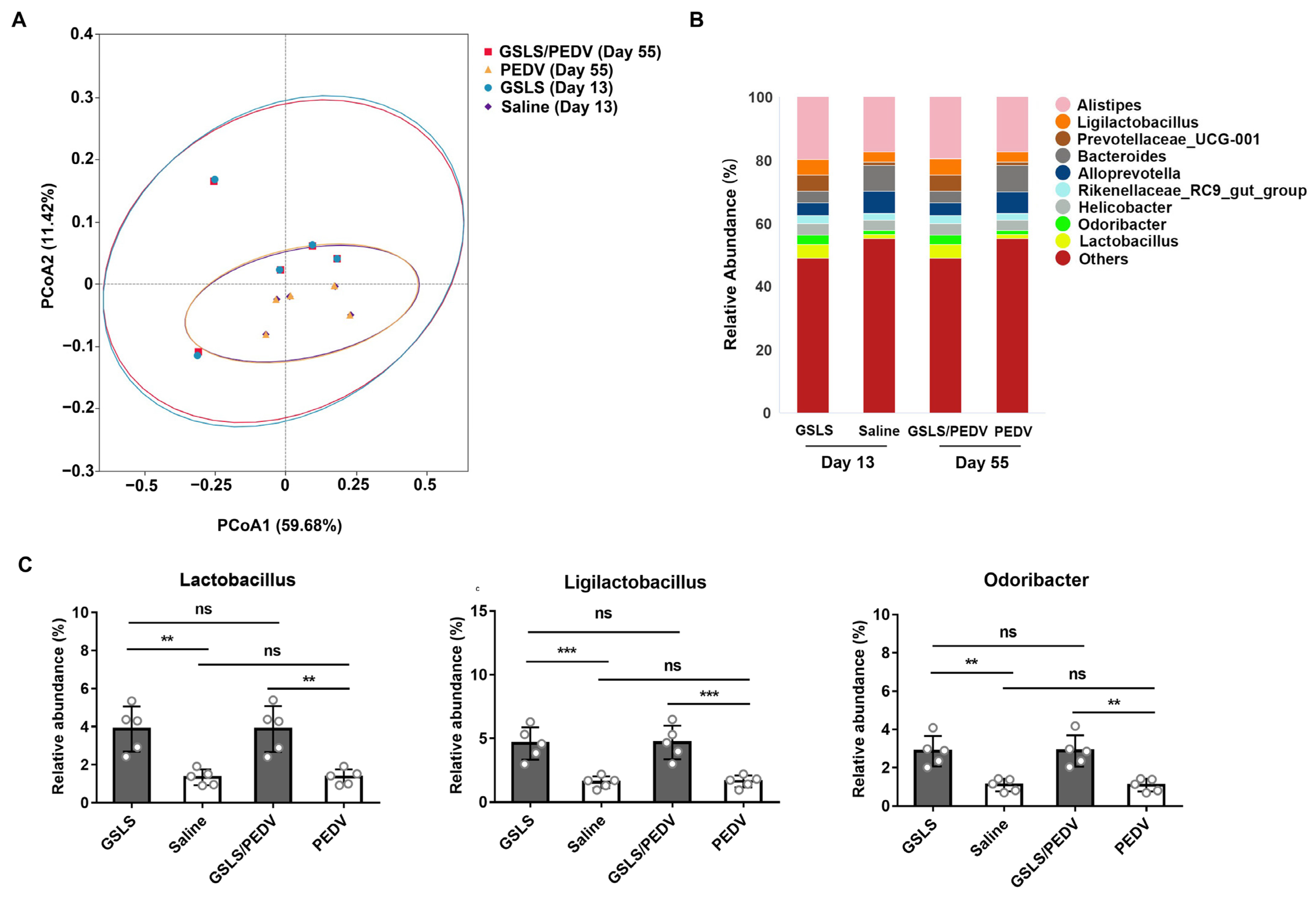 Vaccines 11 00830 g002 Vaccines 11 00830 g002