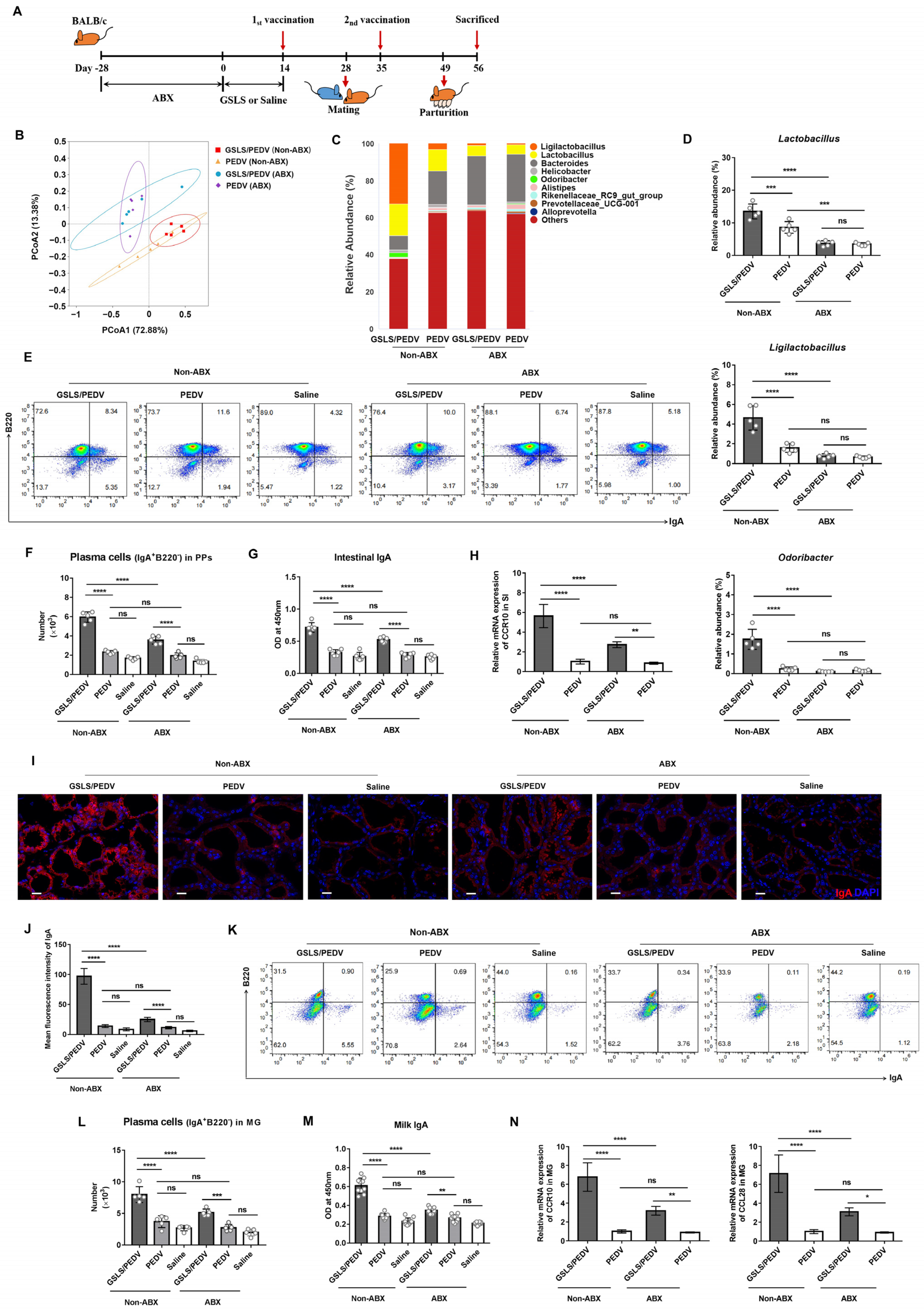 Vaccines 11 00830 g003 Vaccines 11 00830 g003