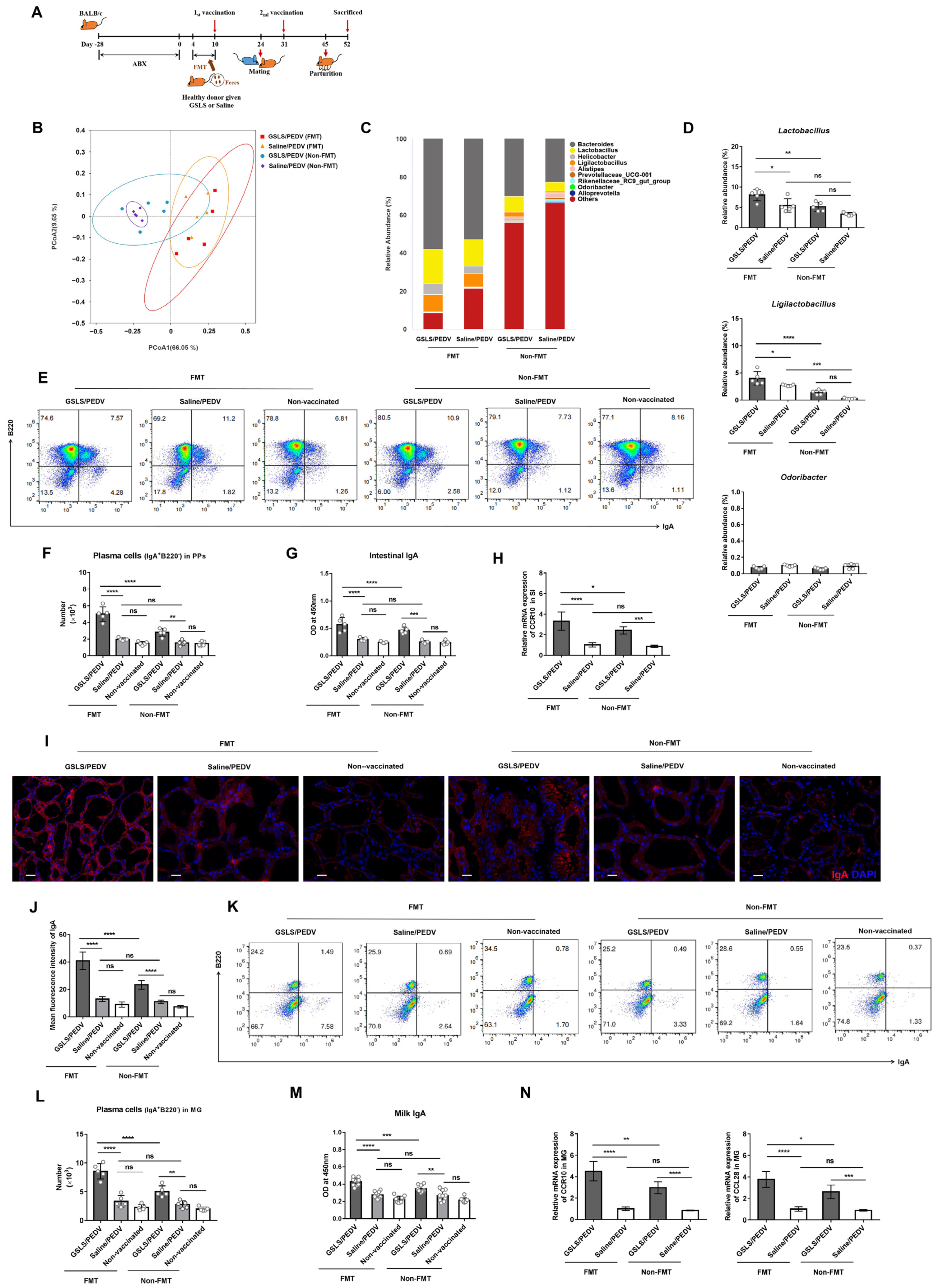 Vaccines 11 00830 g004 Vaccines 11 00830 g004