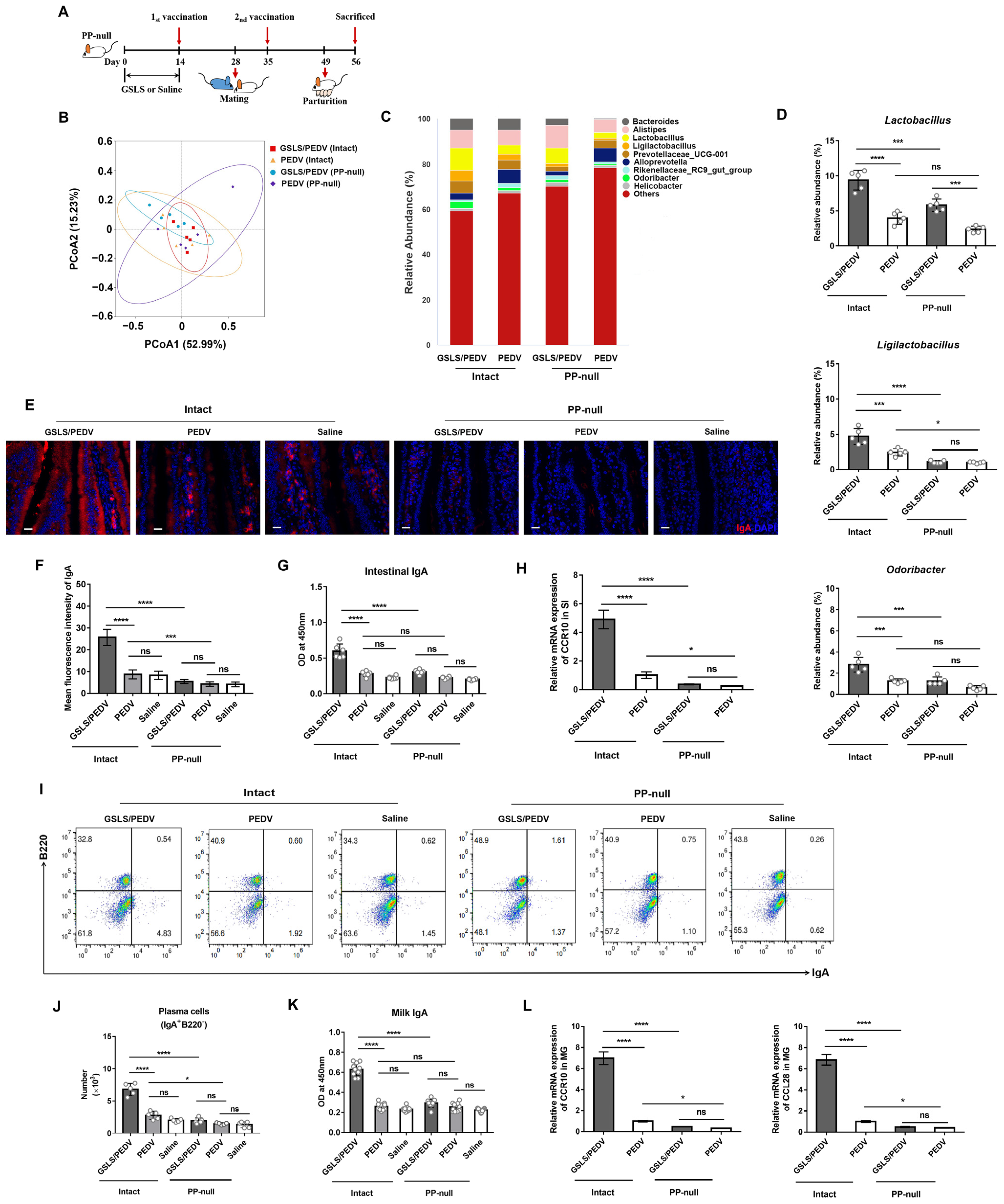 Vaccines 11 00830 g005 Vaccines 11 00830 g005