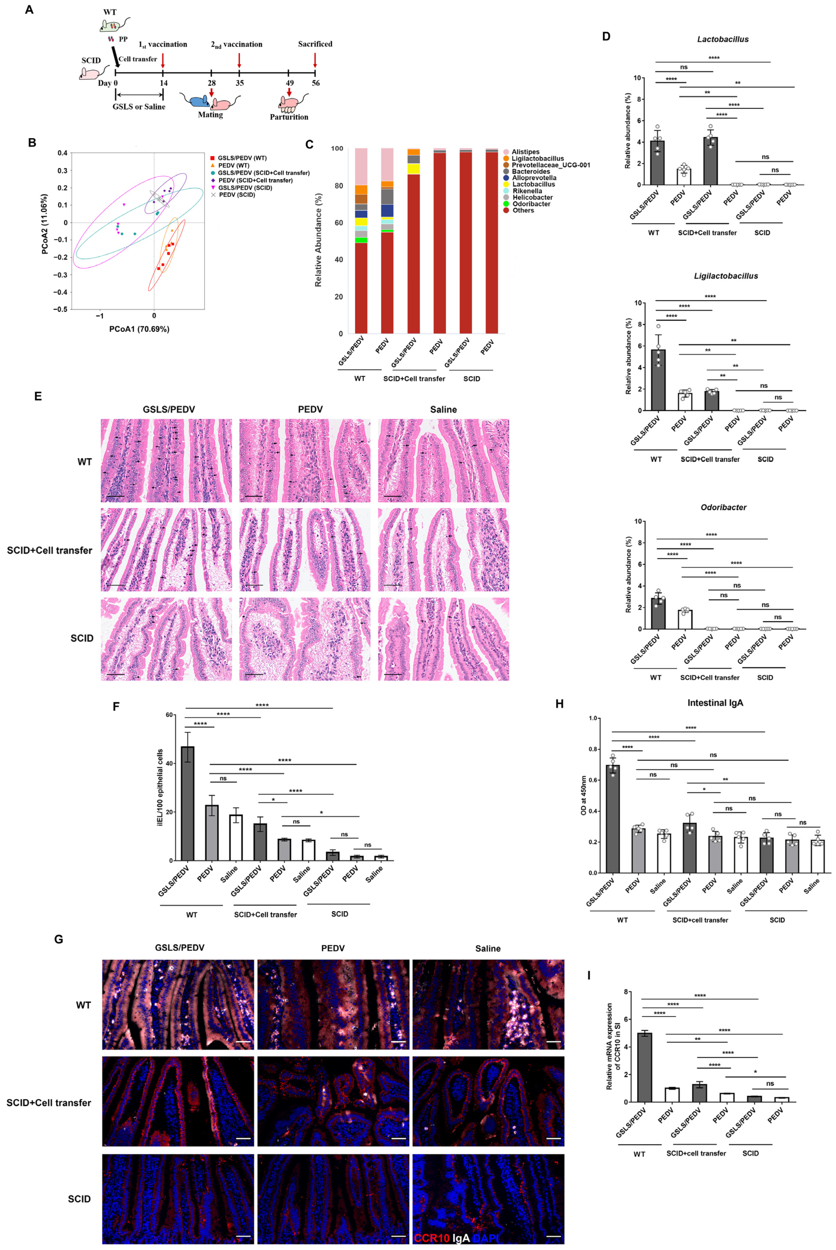 Vaccines 11 00830 g006 Vaccines 11 00830 g006